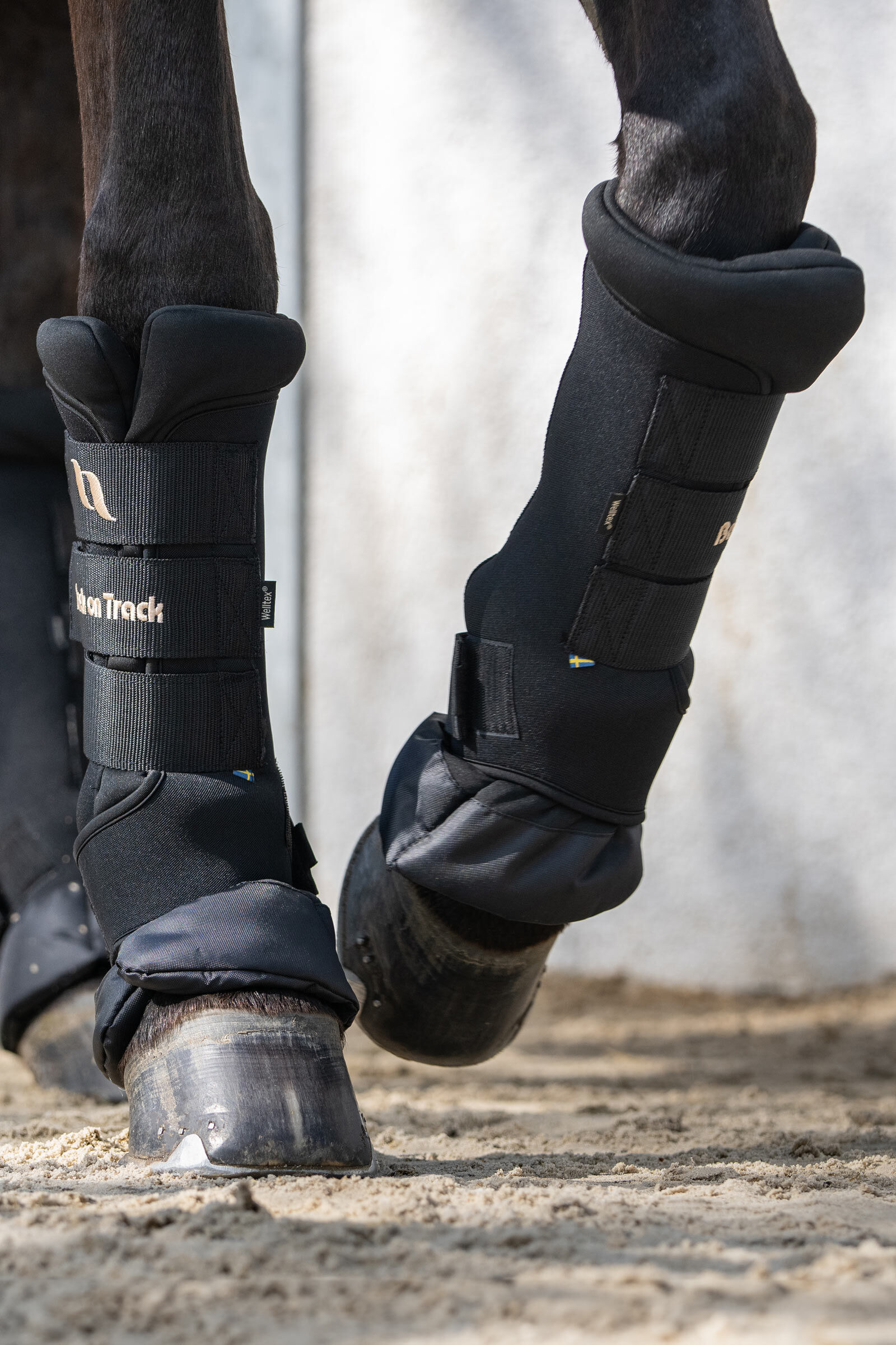 Back on track boots for horses shop