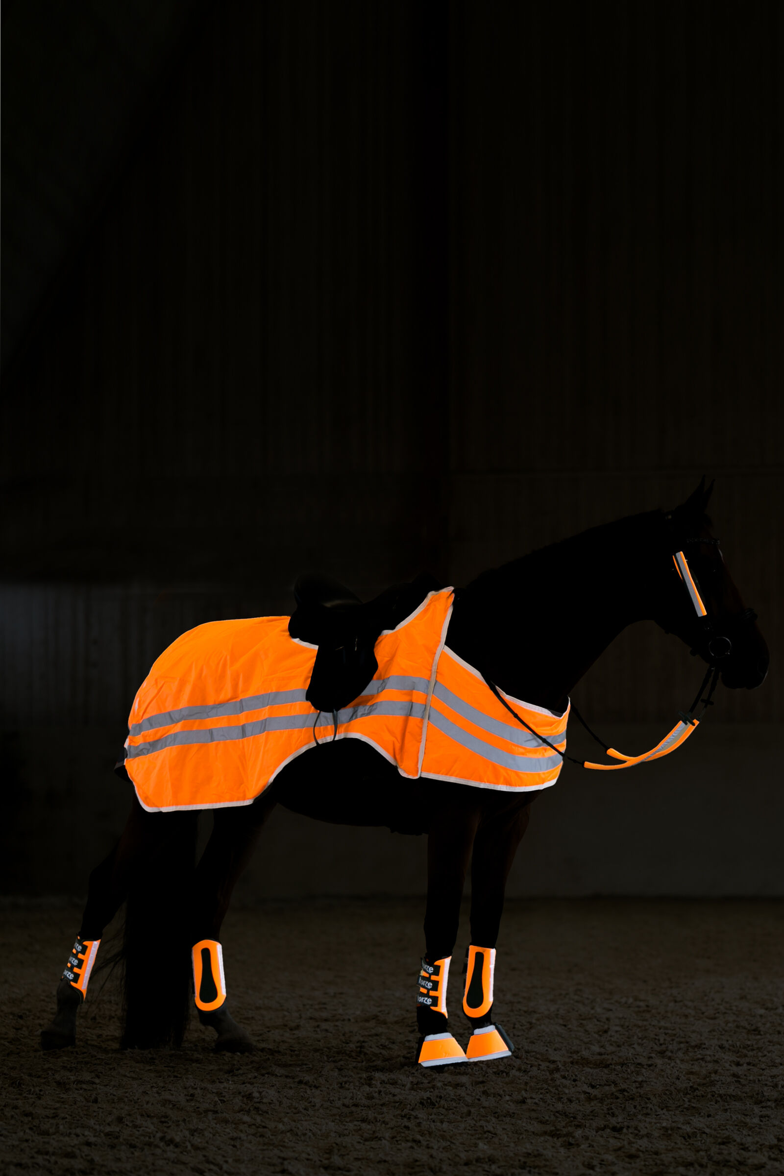 Hi Viz Reflective Horse Wear horze.eu
