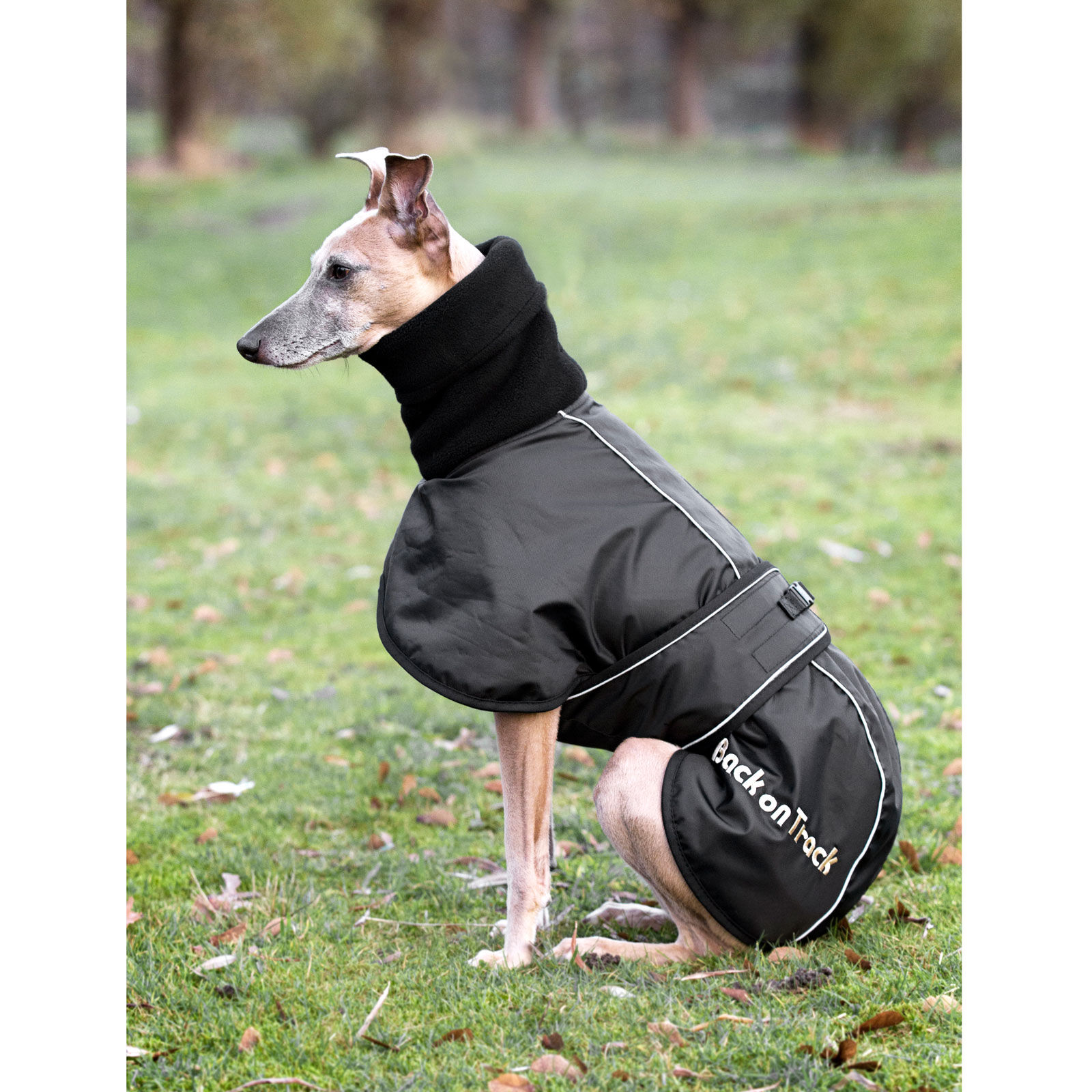 Buy Back on Track Whippet Dog Rug L XXL horze.eu