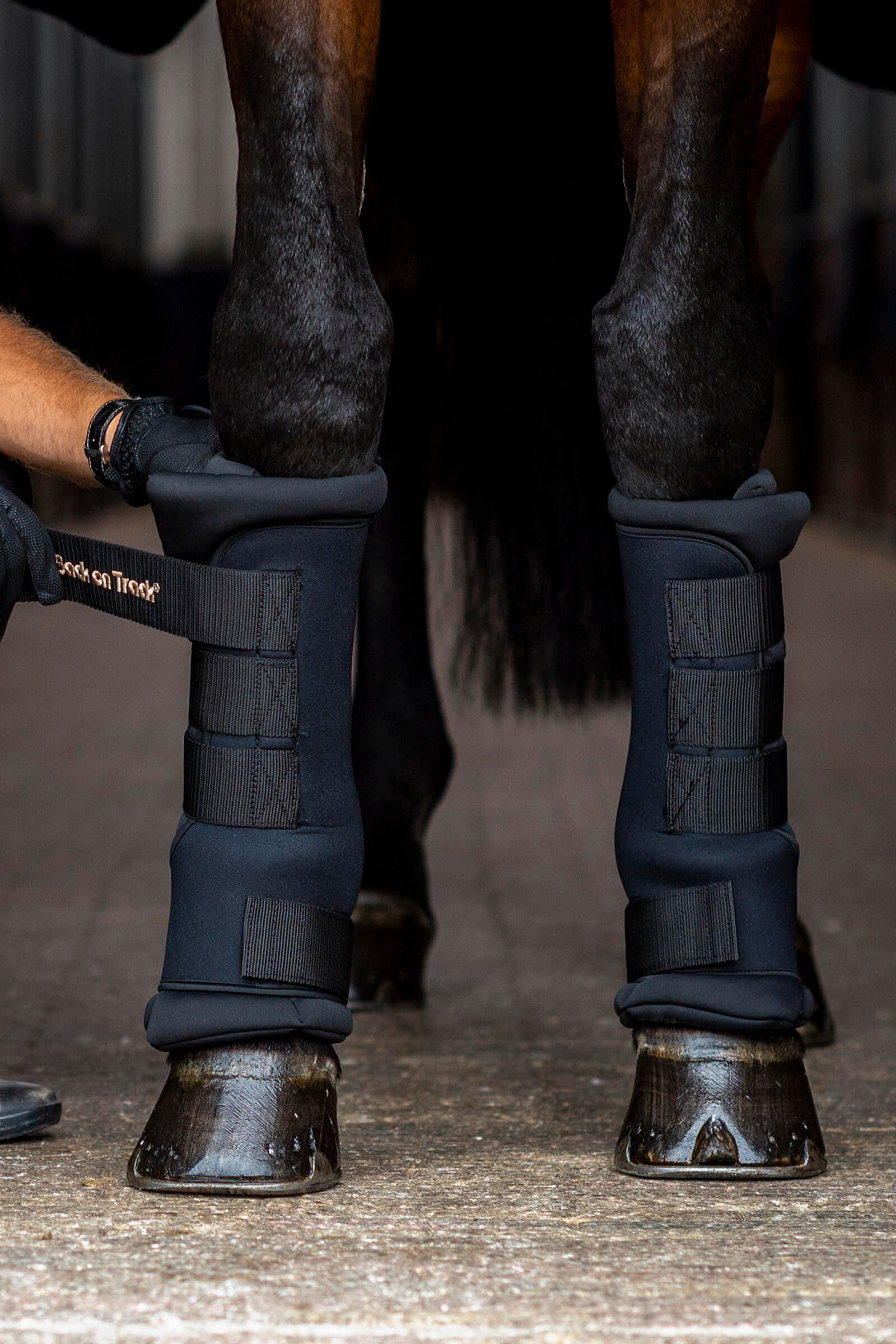 Back on track boots for horses 2025