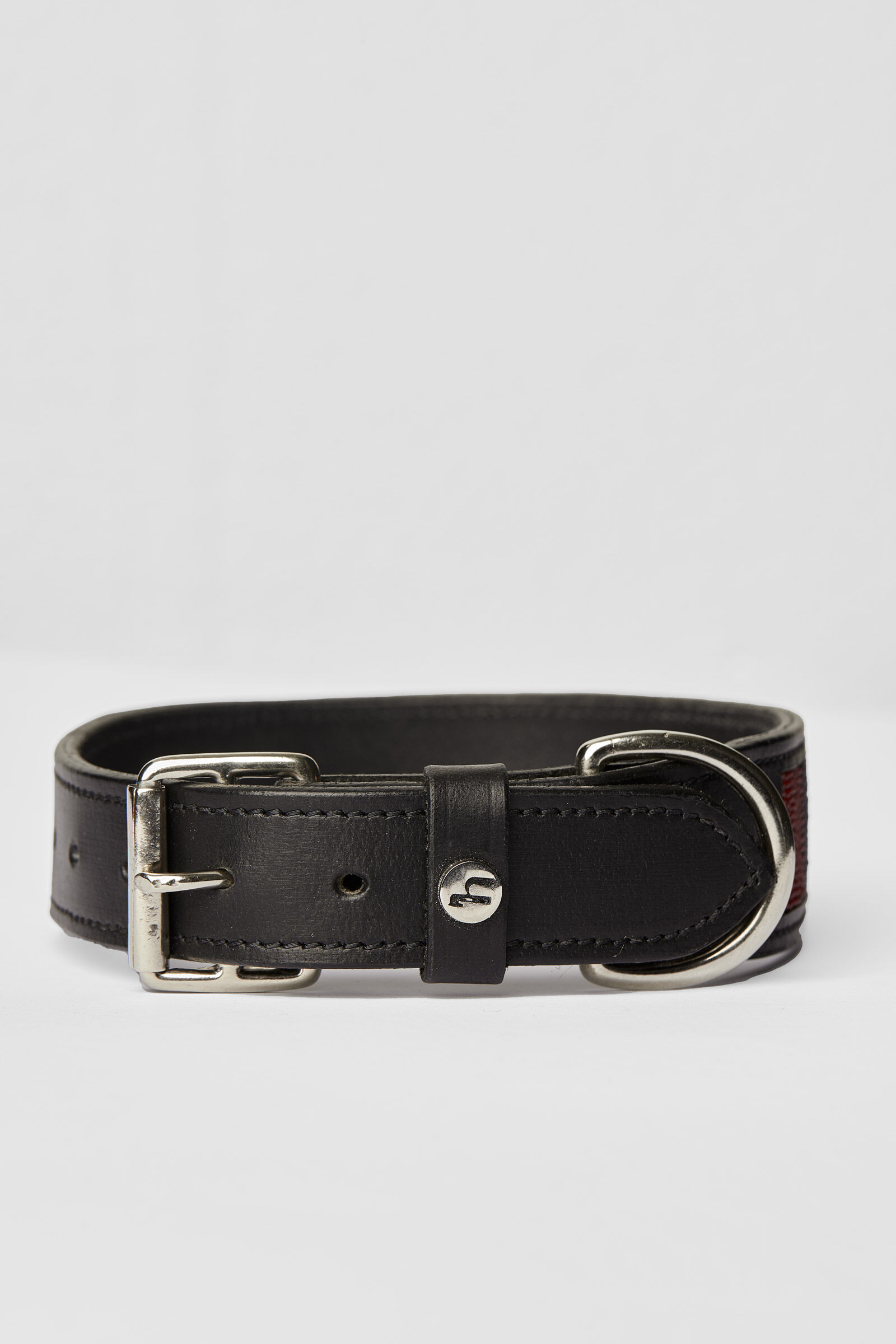 Dog Collars Leashes horze.eu