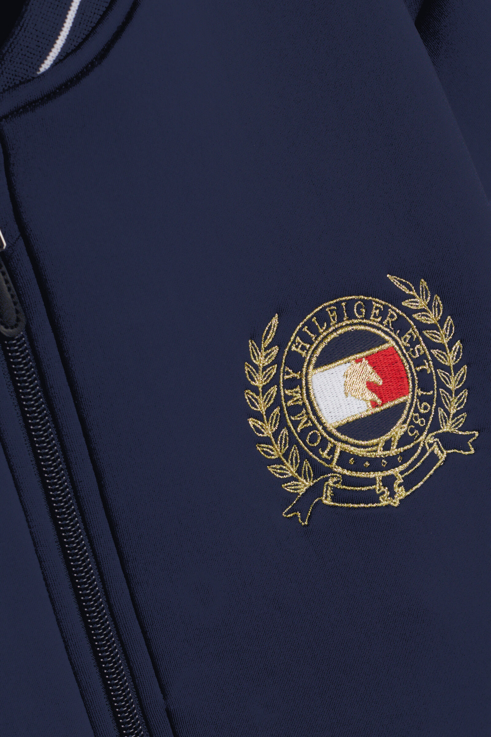 Tommy hilfiger sport 2025 jacket