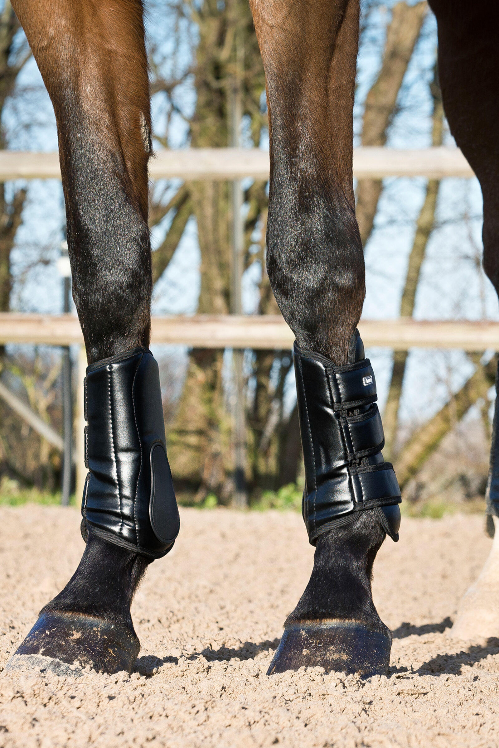 Lava riding boots on sale