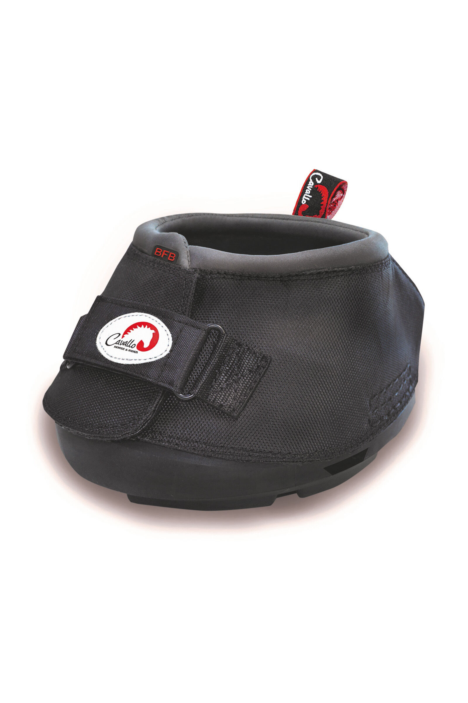 Cavallo horse and rider online
