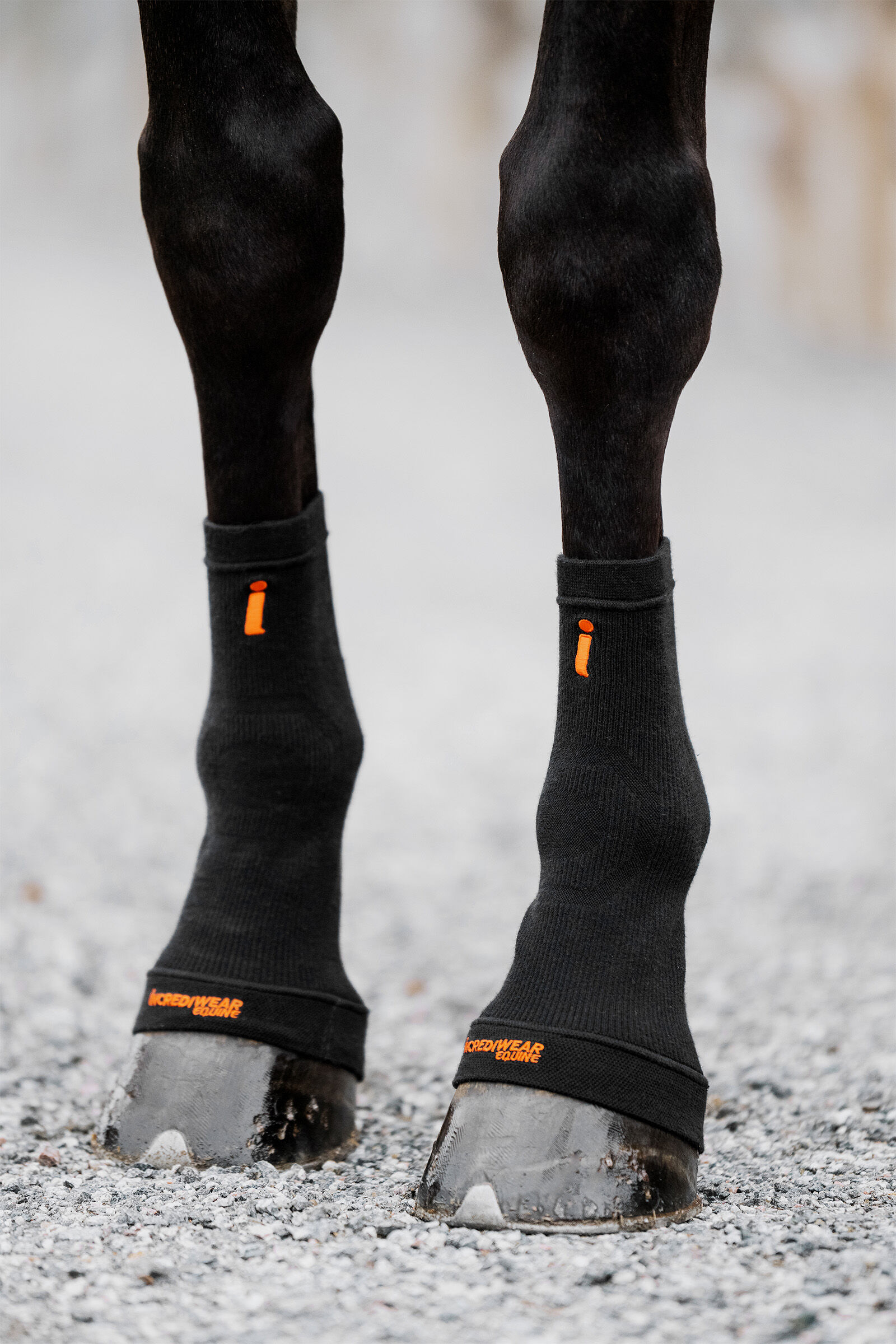 Pony best sale hoof boots