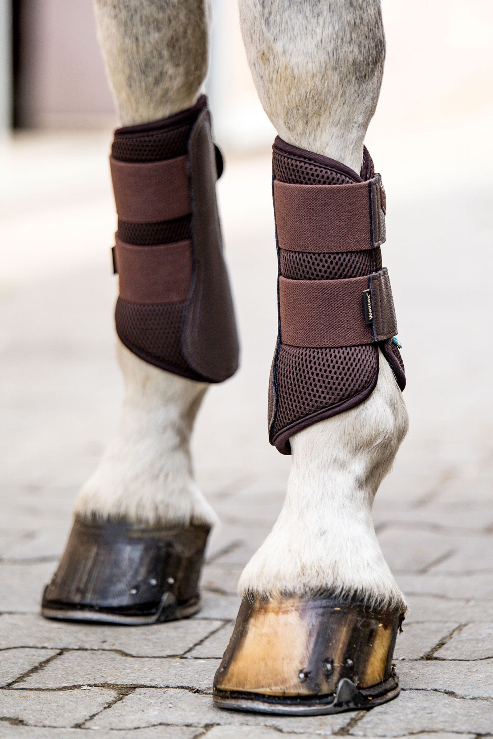 Back on new arrivals track brush boots