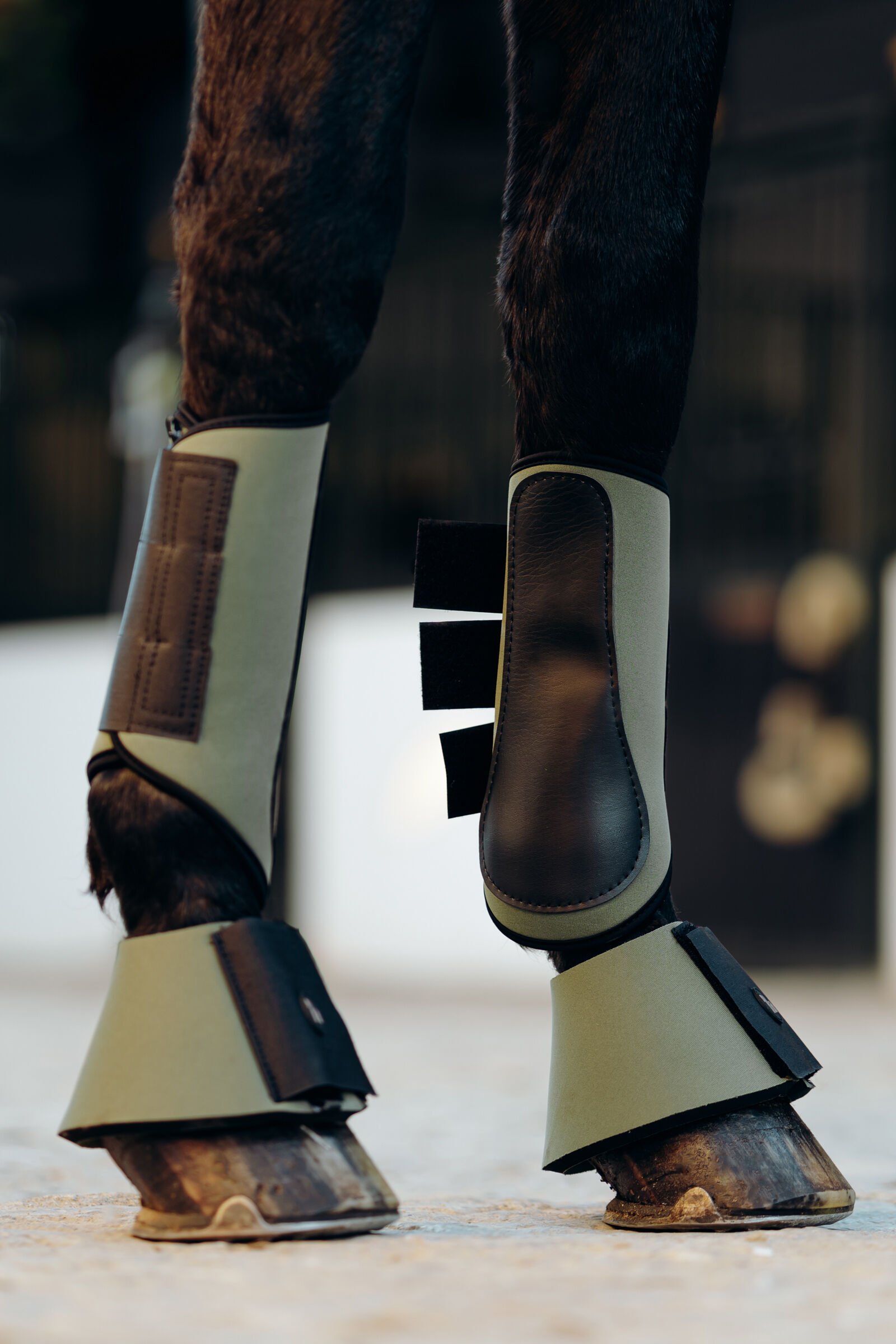 Horze brushing boots clearance