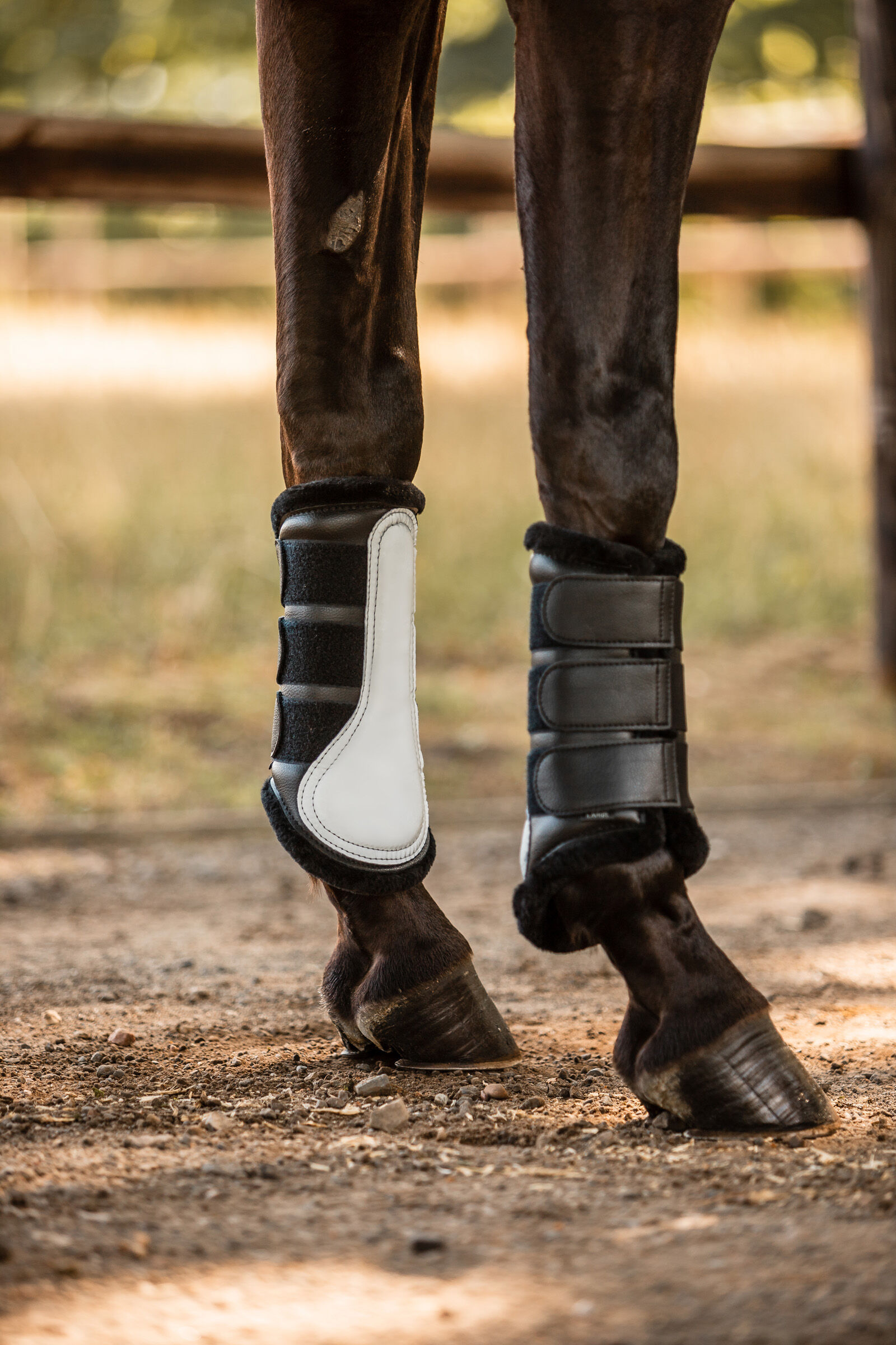 Reflective horse clearance boots
