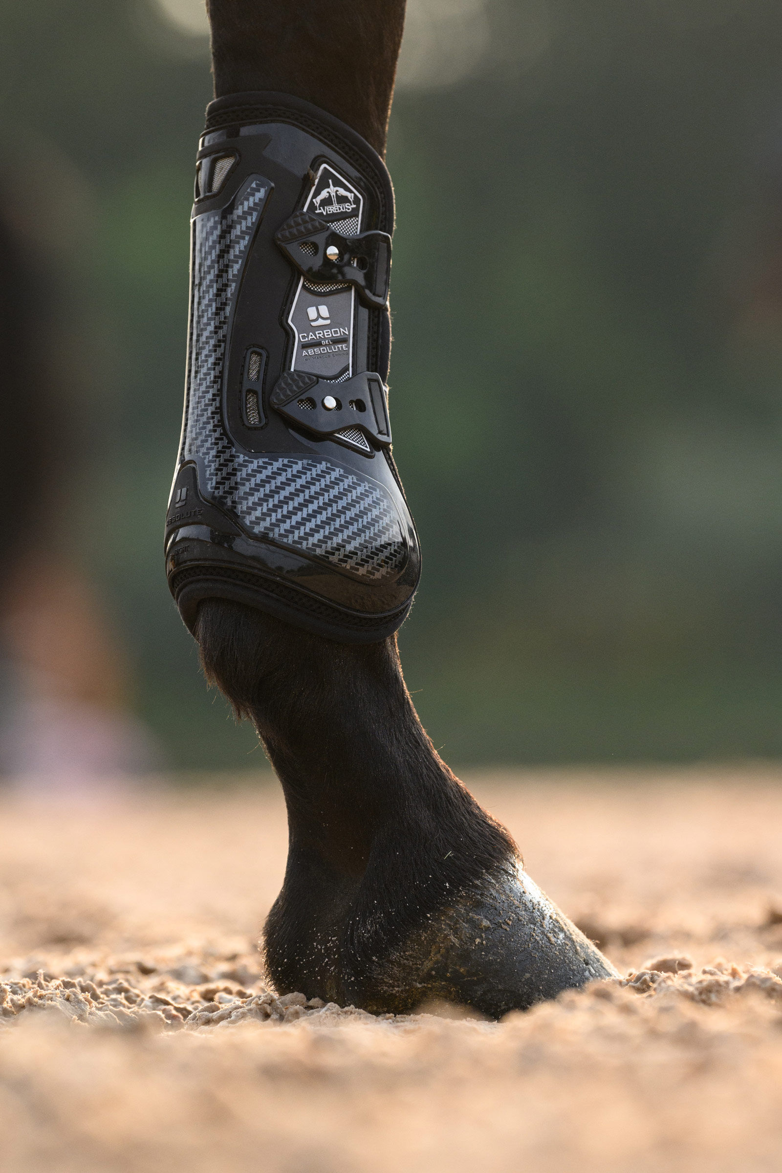Buy Veredus Carbon Gel Absolute Tendon Boots horze.eu