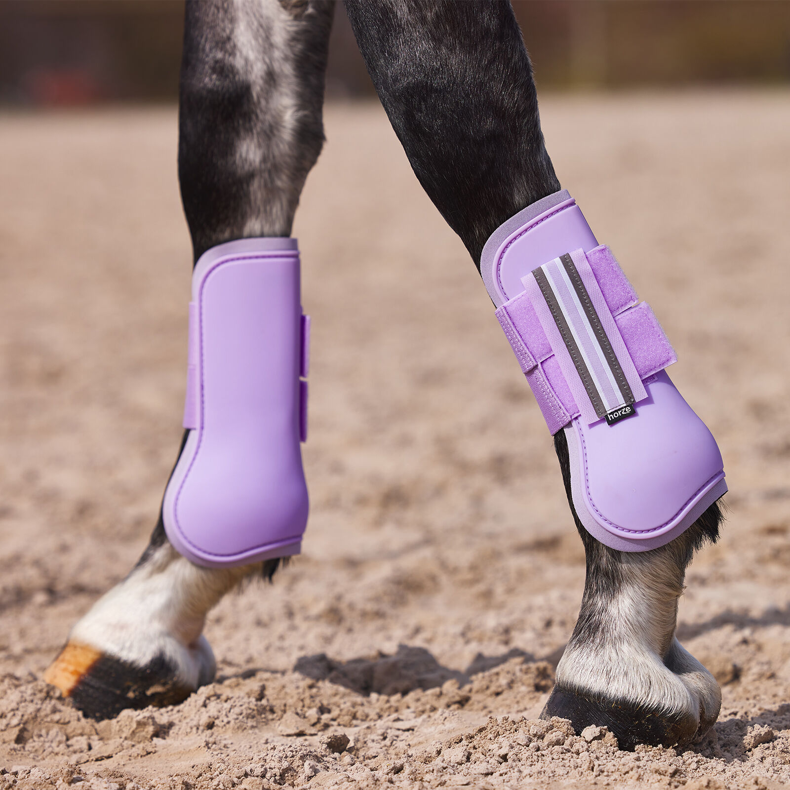 Purple riding boots store