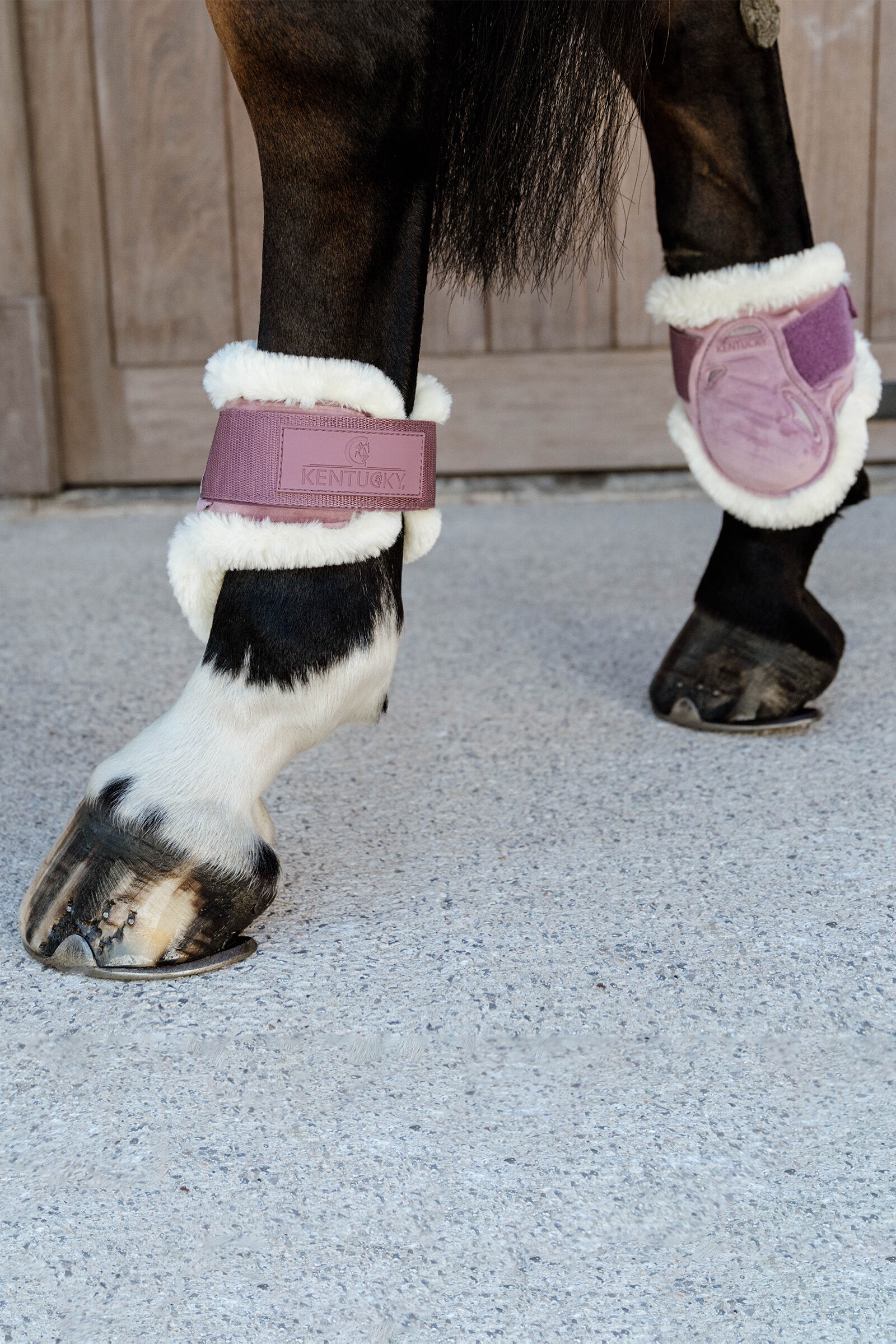 Young horse hotsell boots