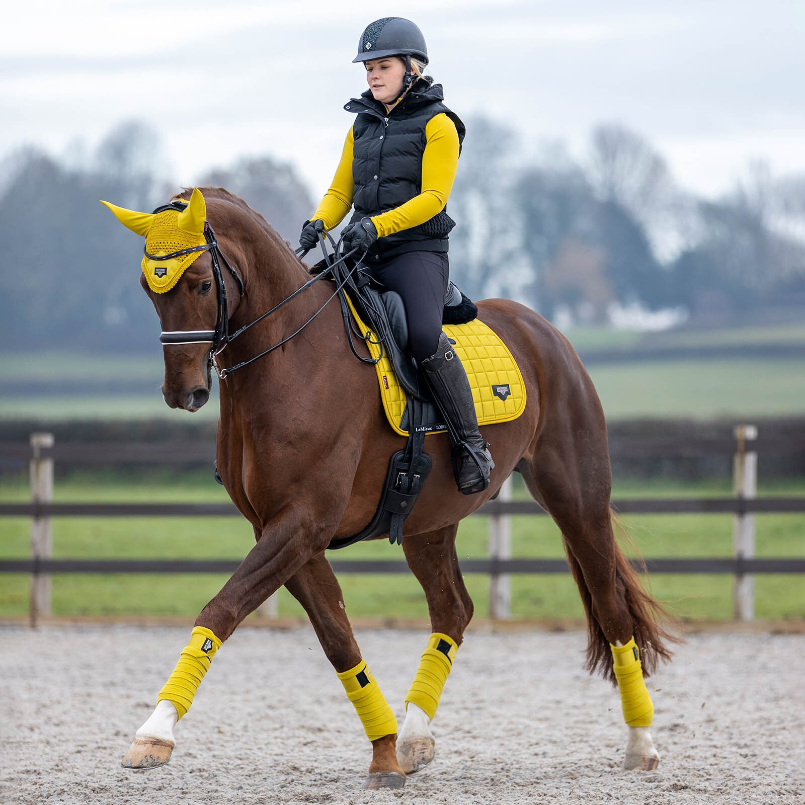 Le mieux dressage boots online