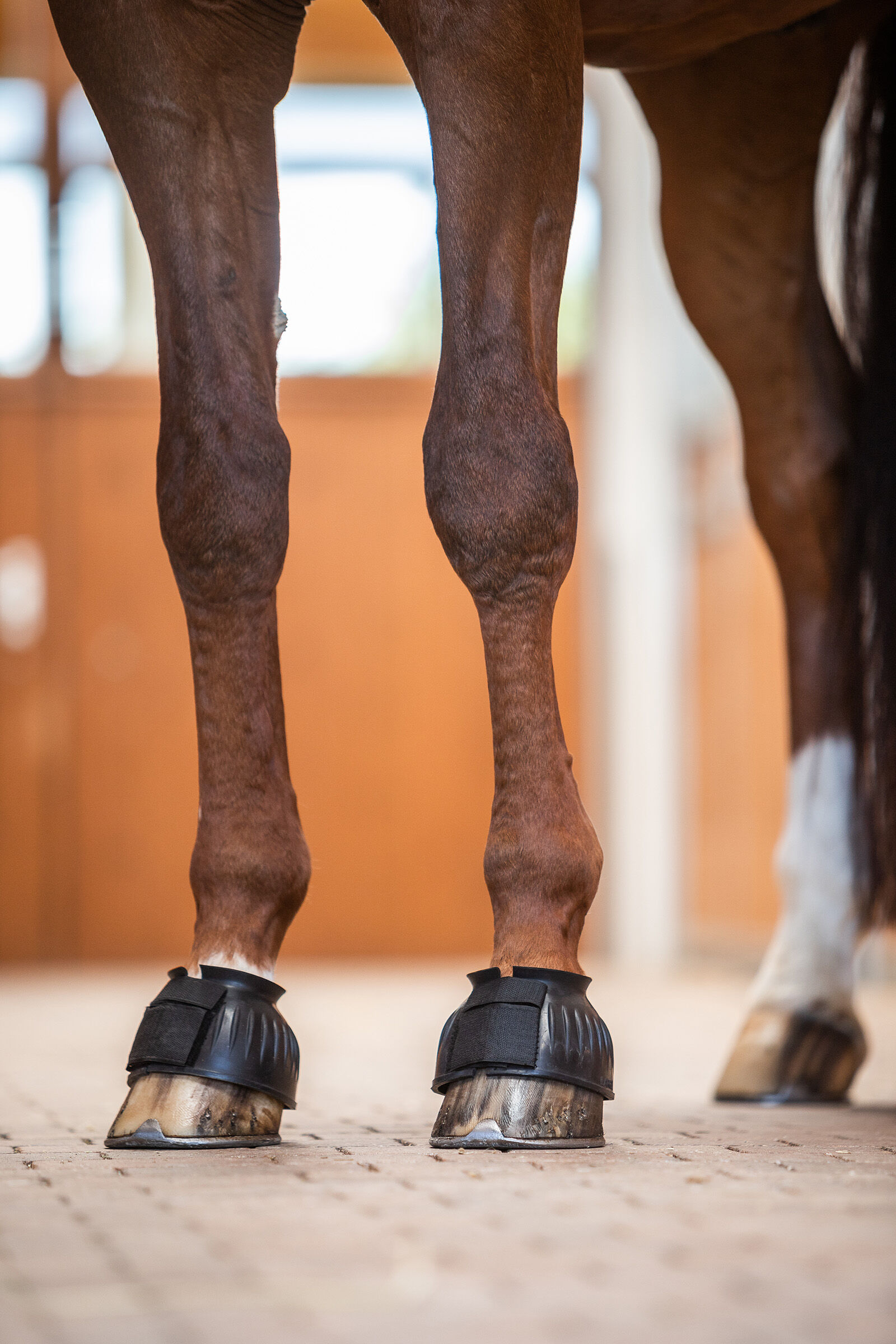Horze cheap overreach boots
