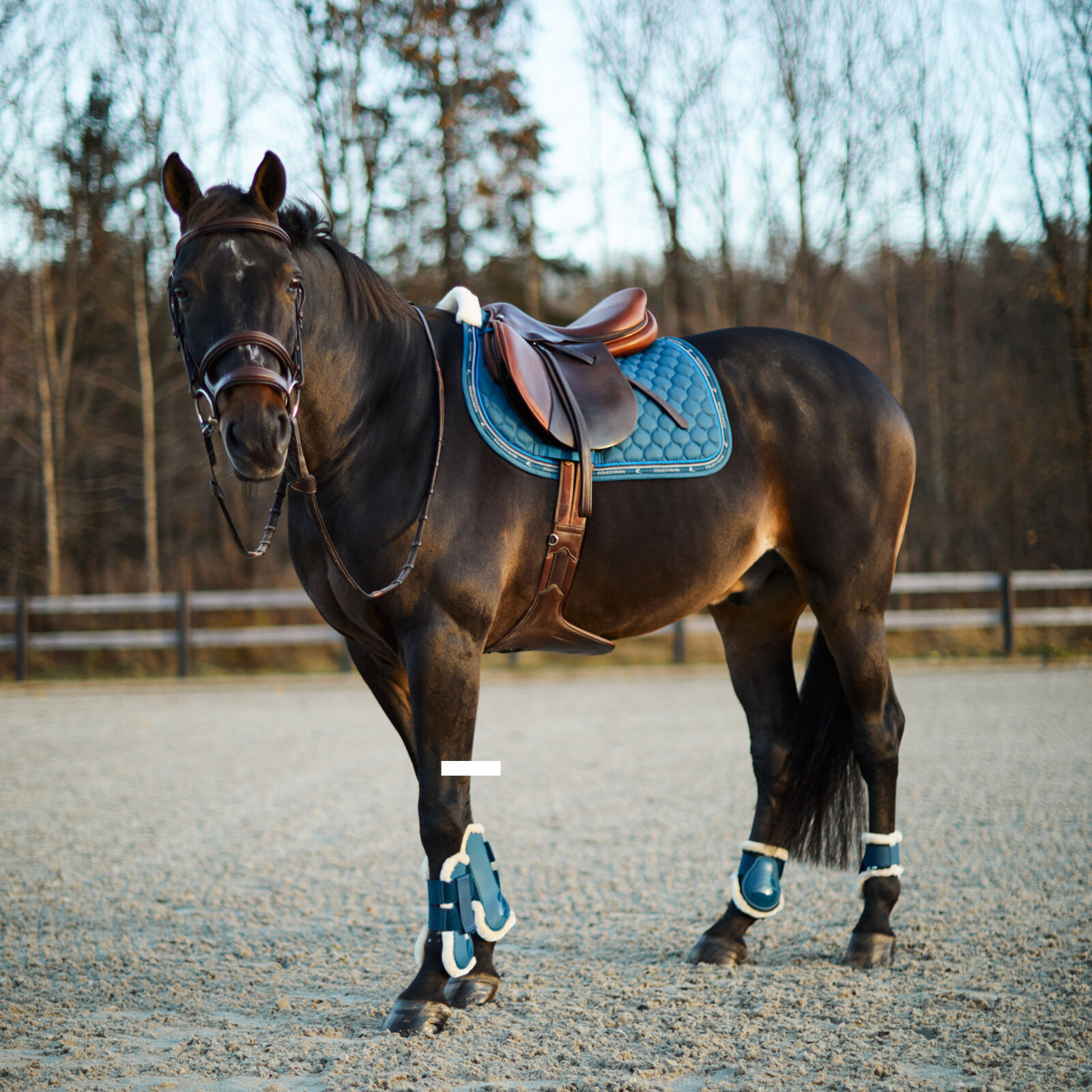 Horze fetlock deals boots