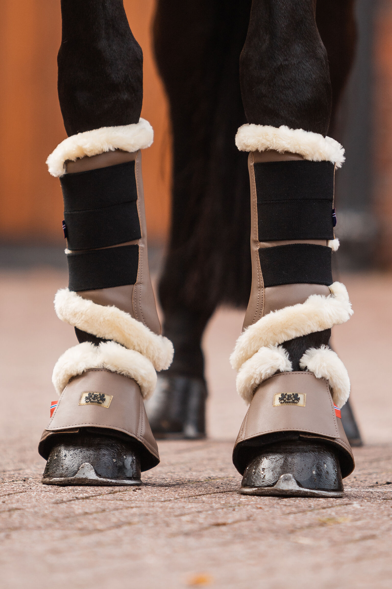 Buy B Vertigo Quinn Bell Boots horze.eu