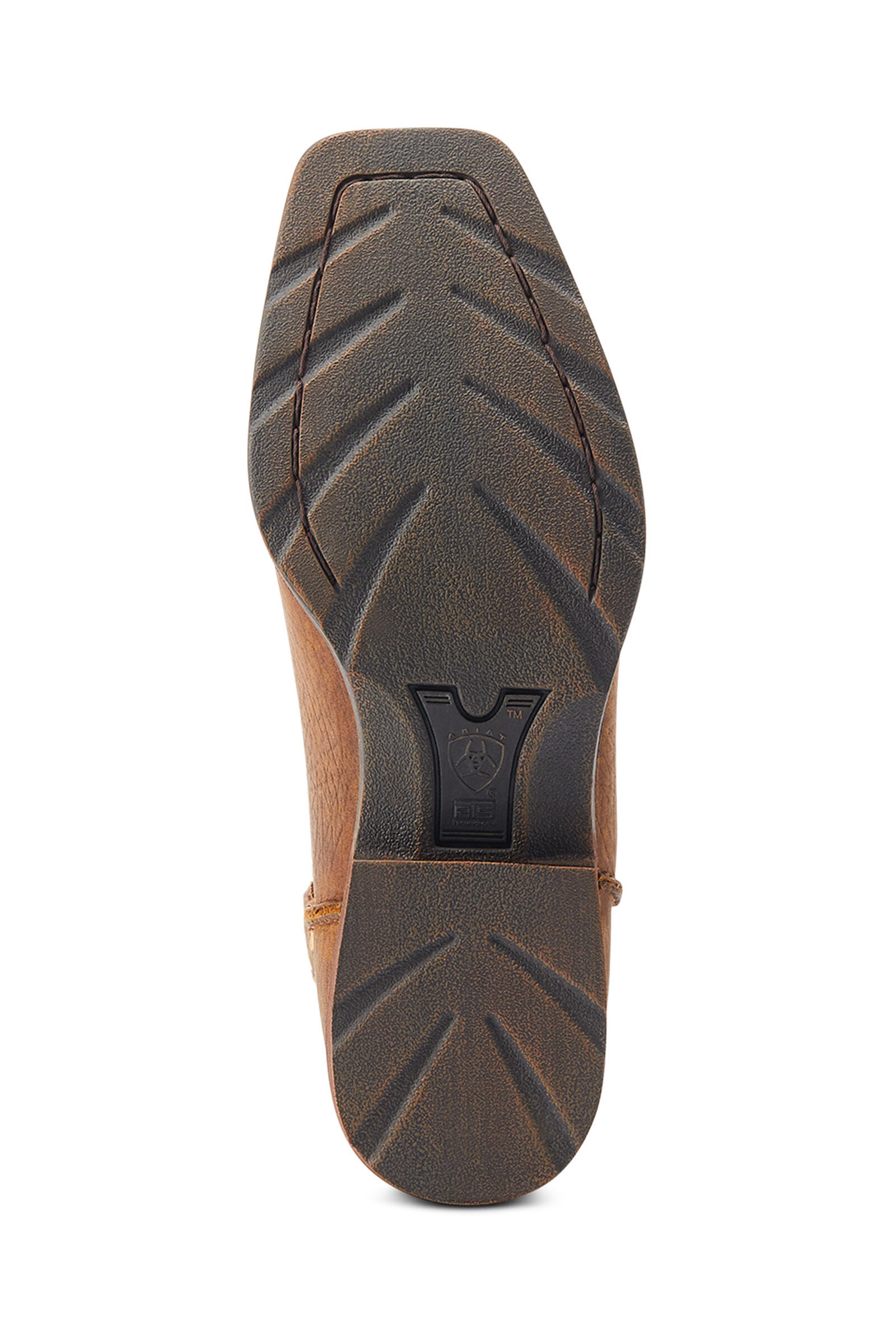 Ariat 2025 rambler renegade