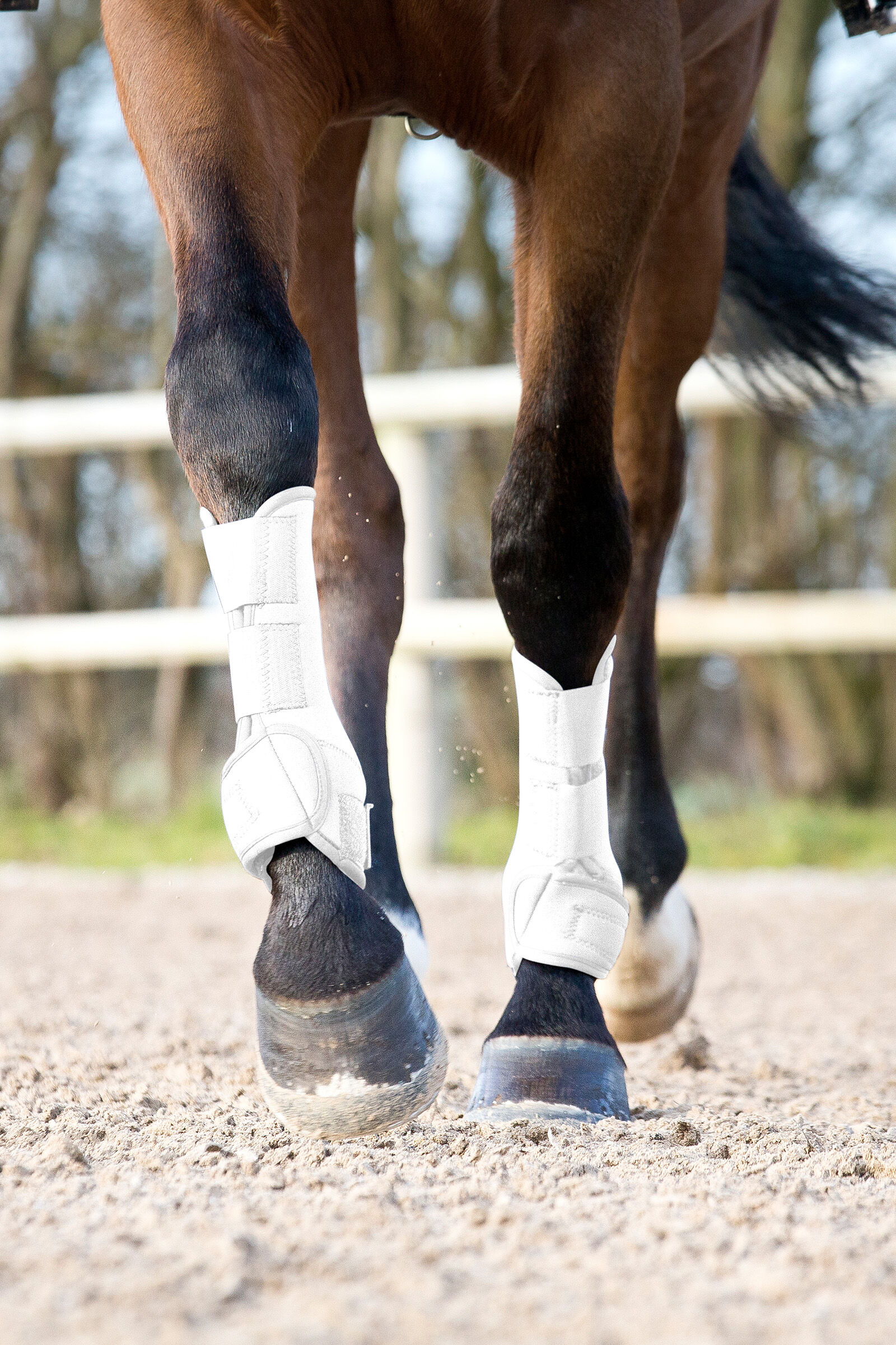 Horze clearance brushing boots