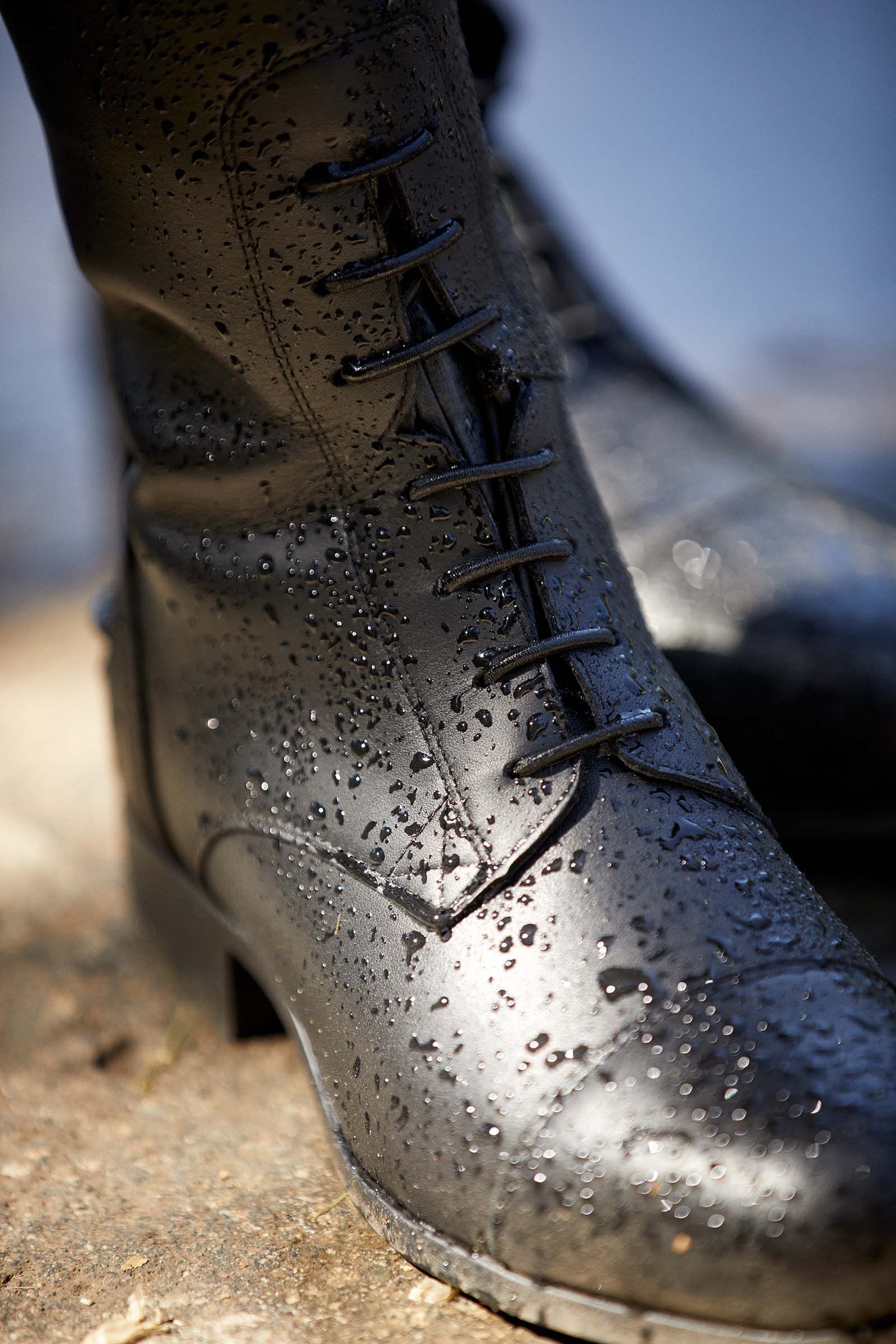 Ariat contour boots outlet