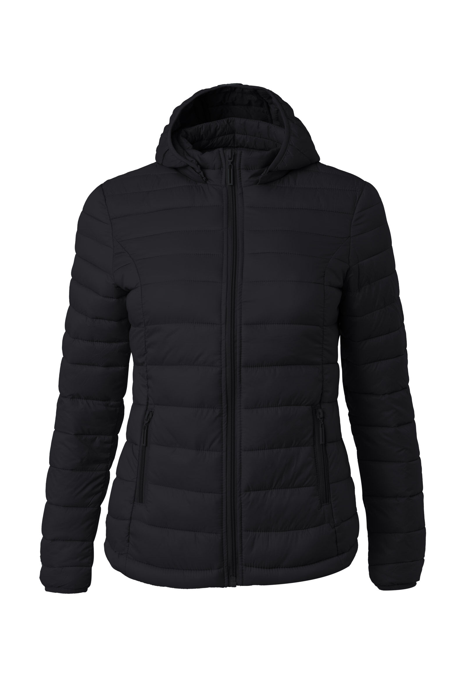 Buy Horze Women s Light Padded Riding Jacket with Hood horze.eu