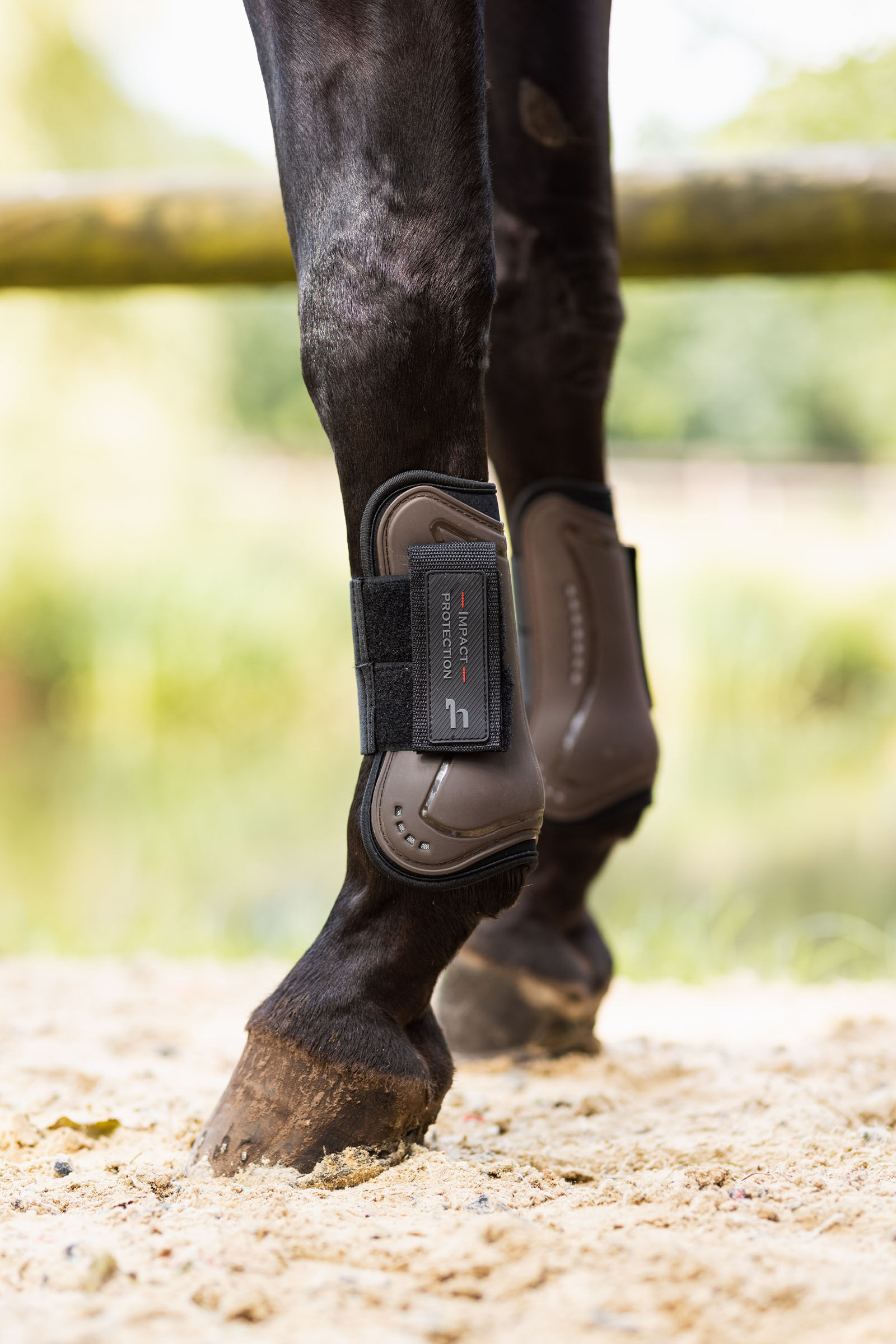 Buy Horze Armour Airflow Tendon Fetlock Boot Set horze.eu