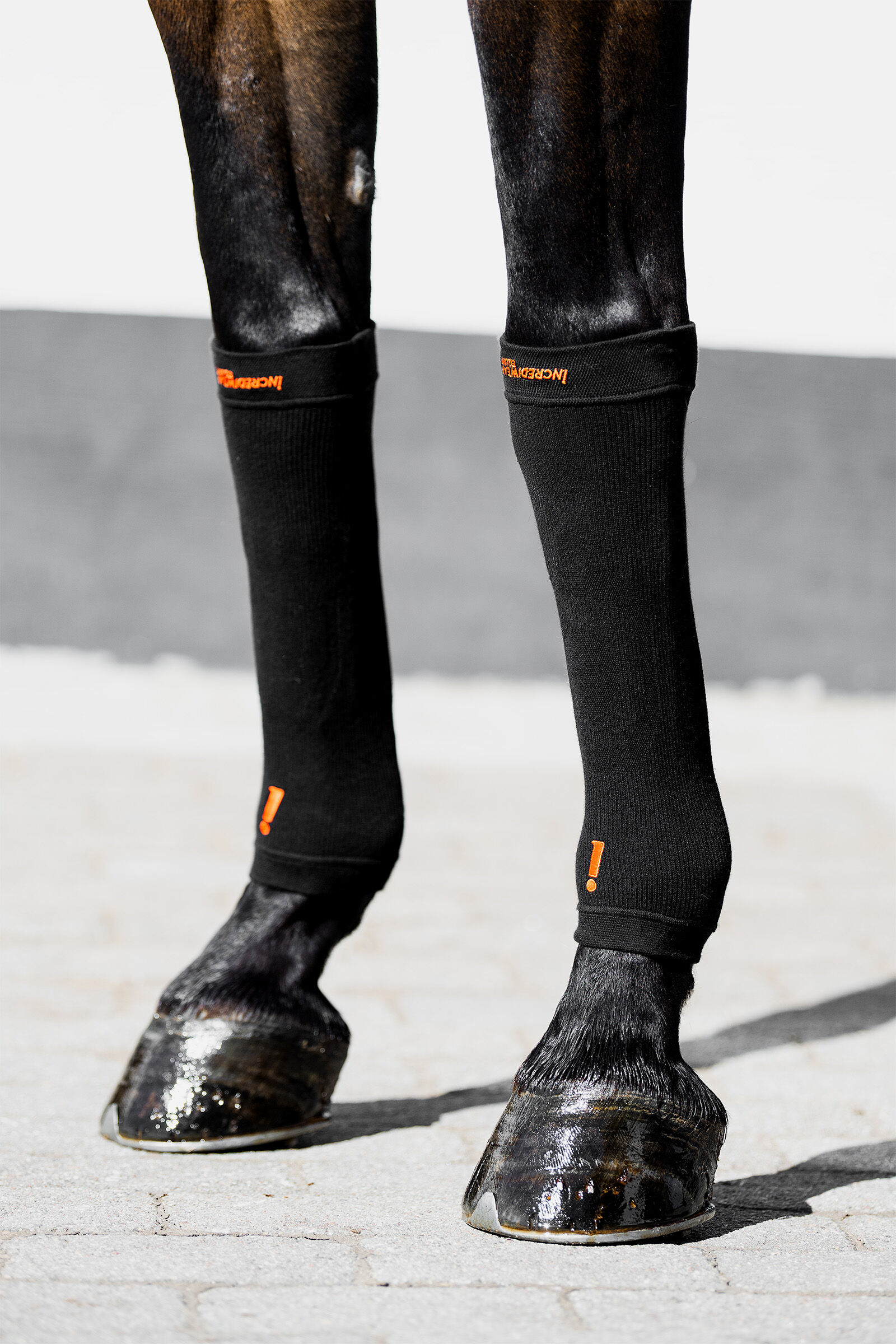 Pony deals hoof boots