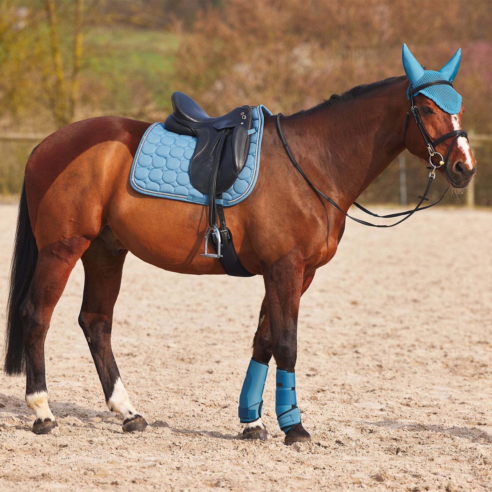 Neoprene clearance horse boots