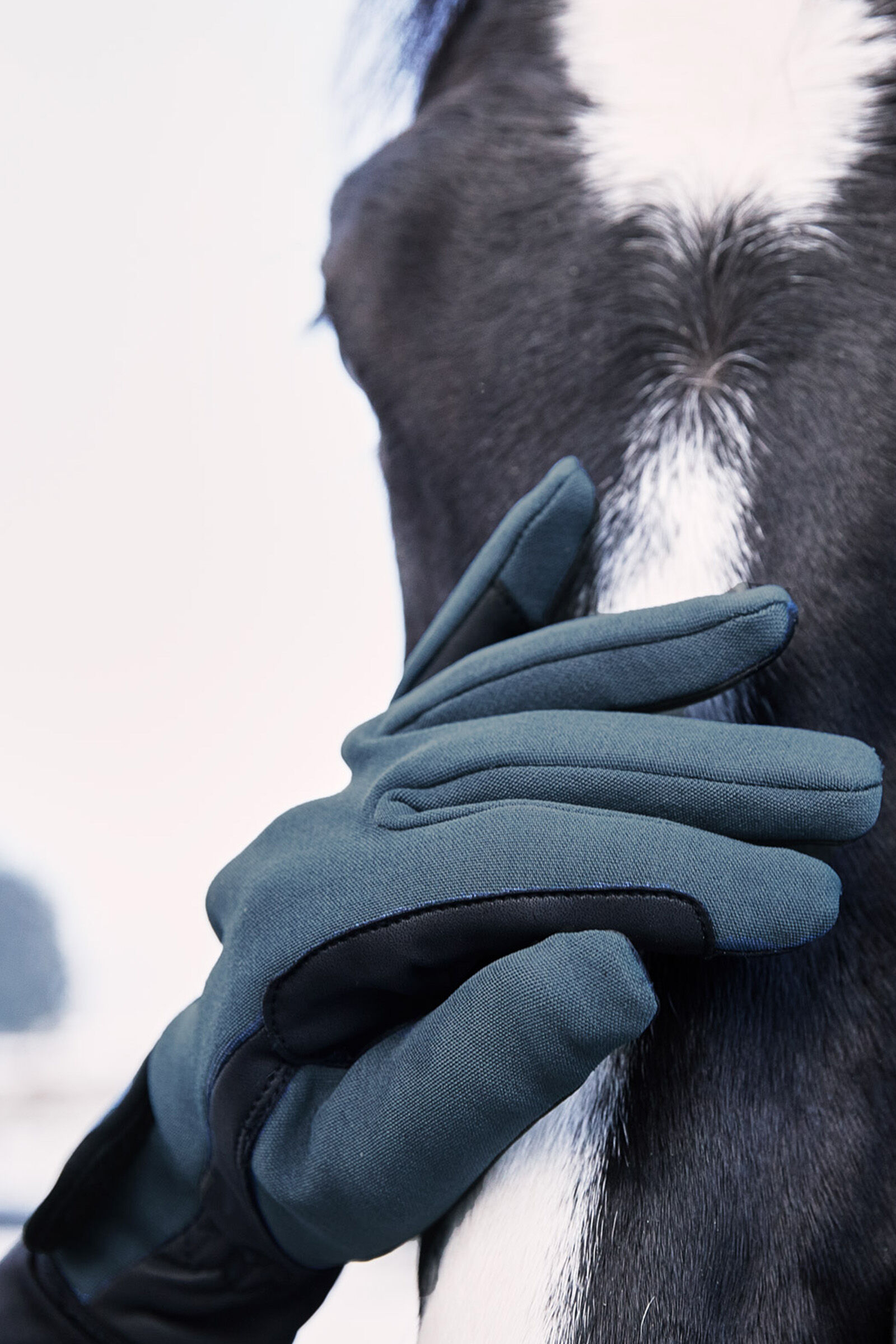 Mens leather horse riding gloves hotsell
