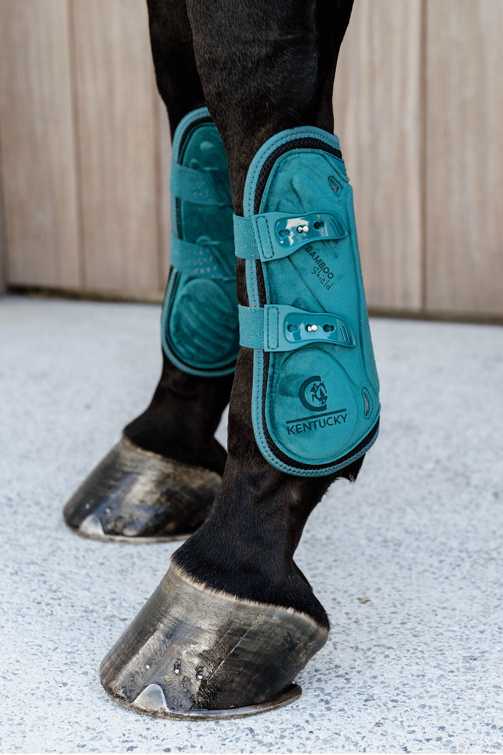 Turquoise horse boots sales
