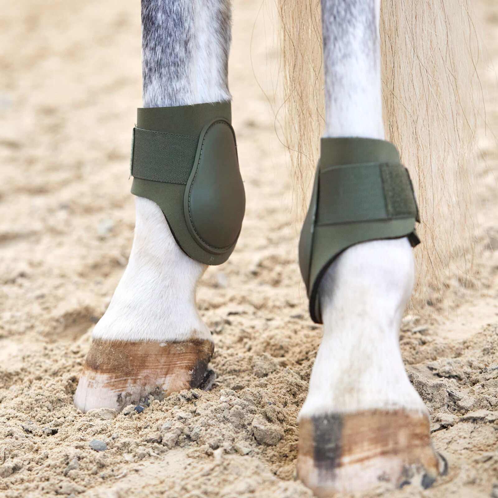 Buy Horze Adepto Fetlock Boots horze.eu