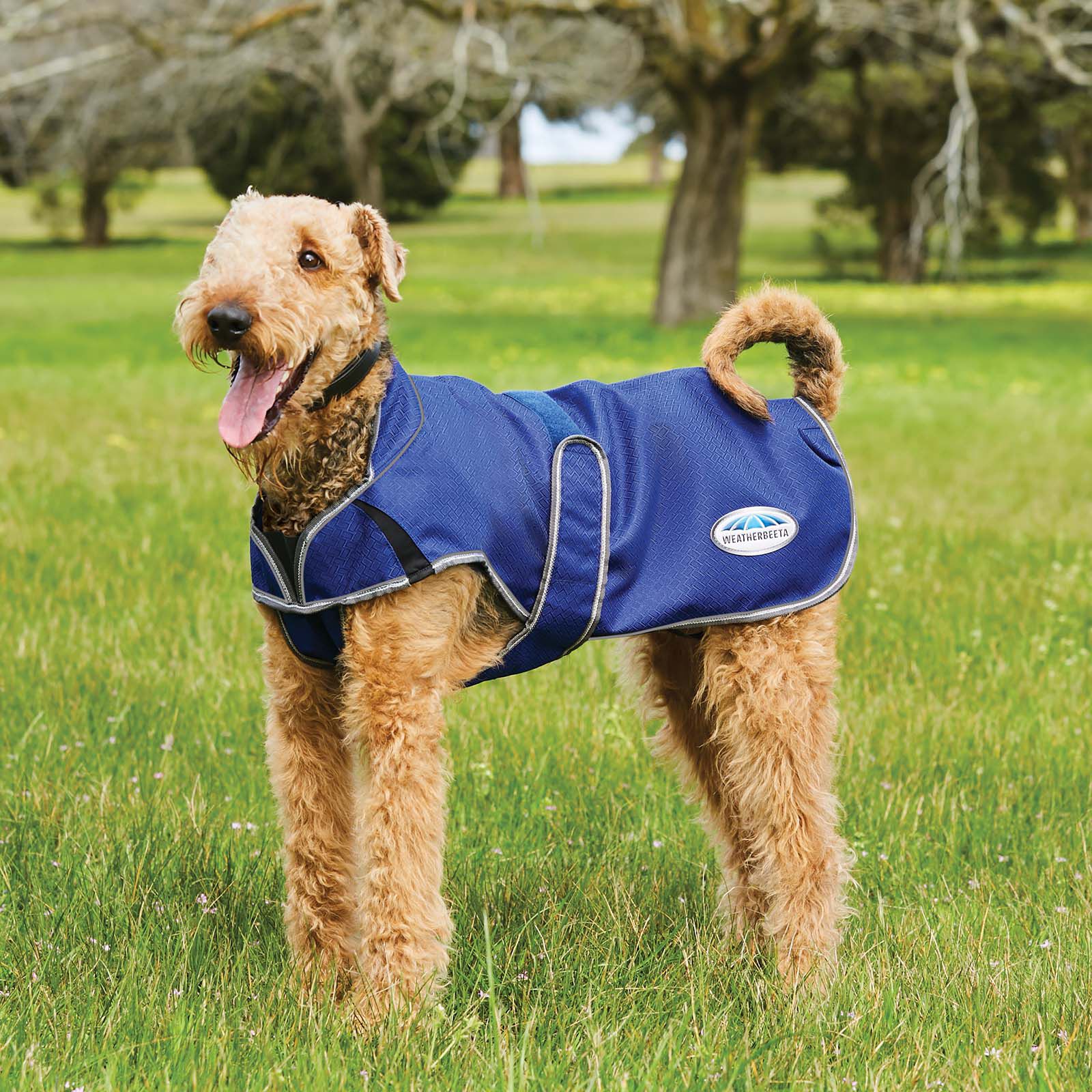 Buy Weatherbeeta Comfitec Premier Free Parka Deluxe Dog Coat 220g
