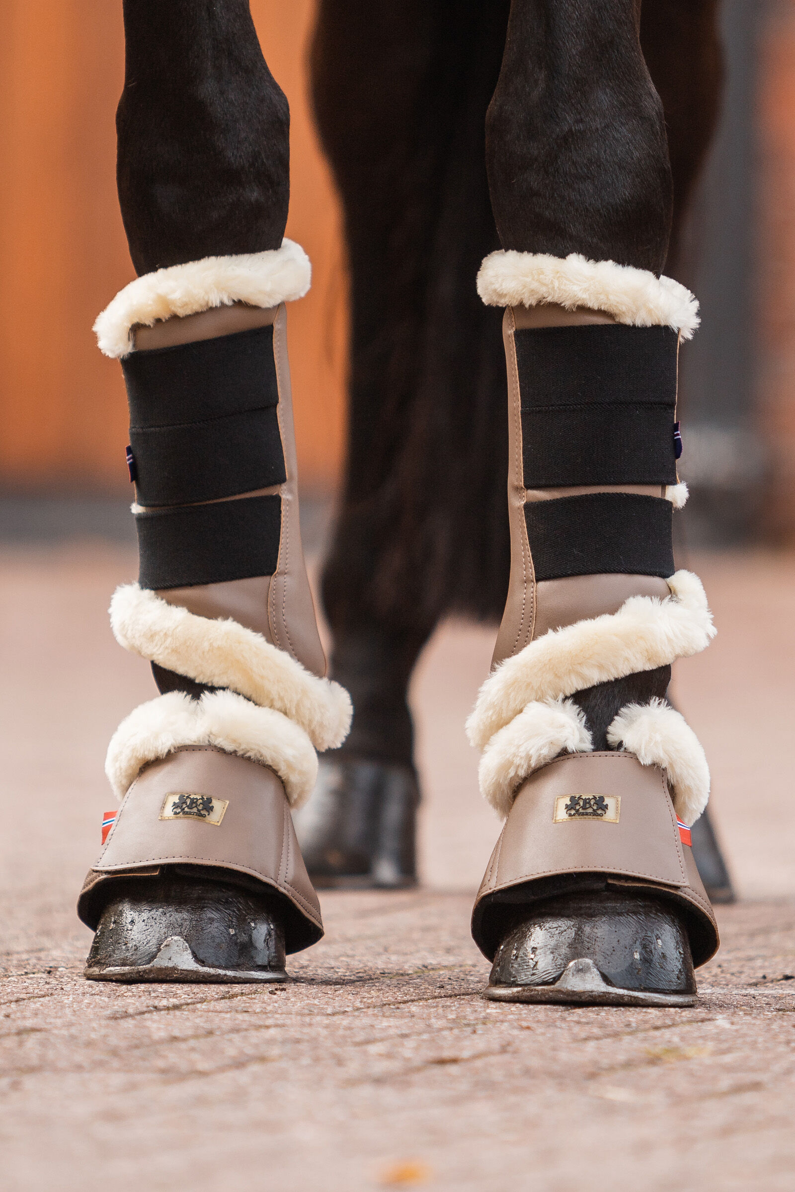 Buy B Vertigo Quinn Bell Boots horze.eu