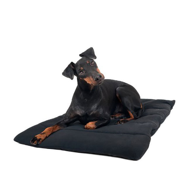 Back on track dog blanket 2025