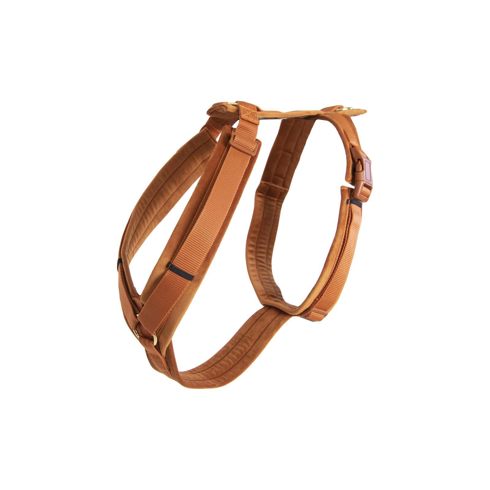 Active top dog harness