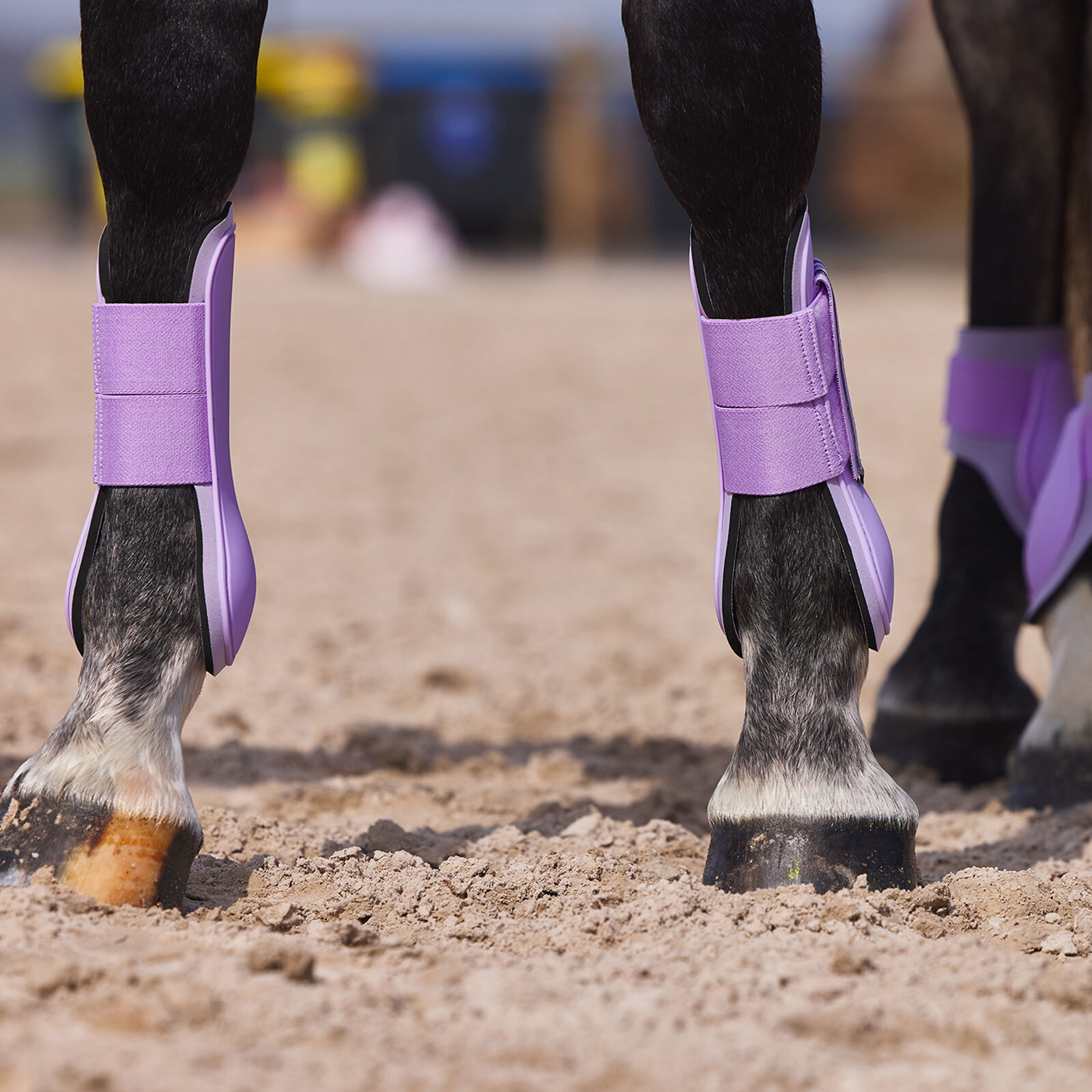 Purple shop horse boots