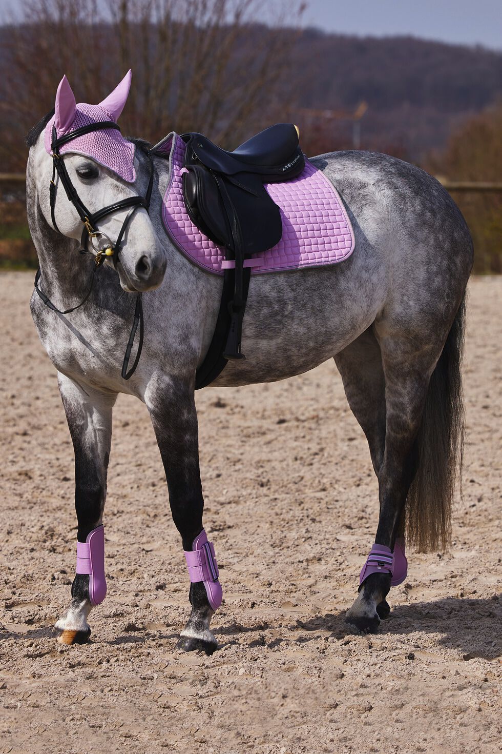 Pink on sale horse tack