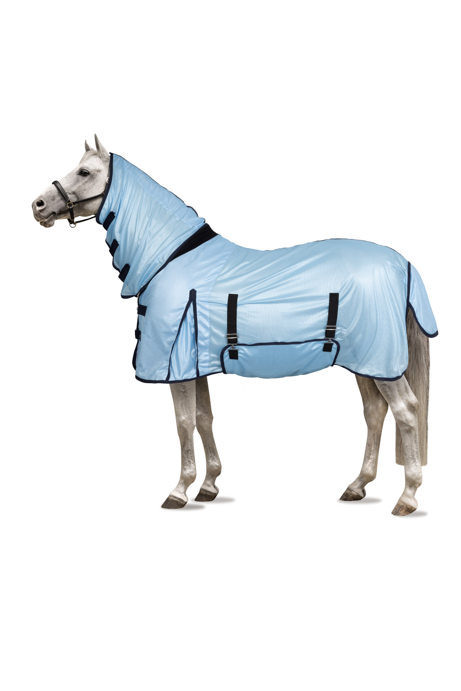 Horse hot sale tack equipment