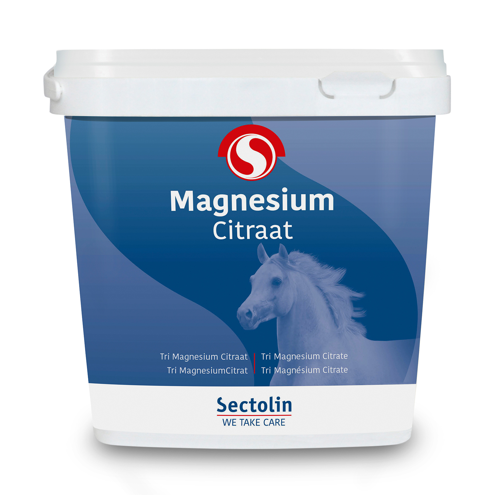 psychologie Spelling Handel Buy Sectolin Magnesium Citrate 500g | horze.eu