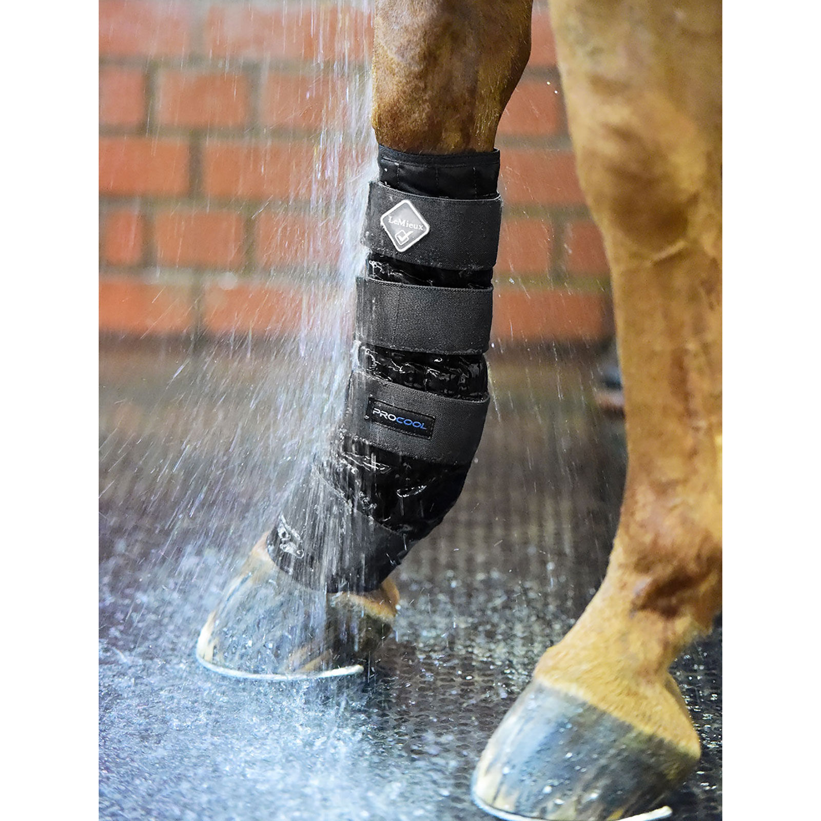 Buy LeMieux Cold Water Boot horze.eu