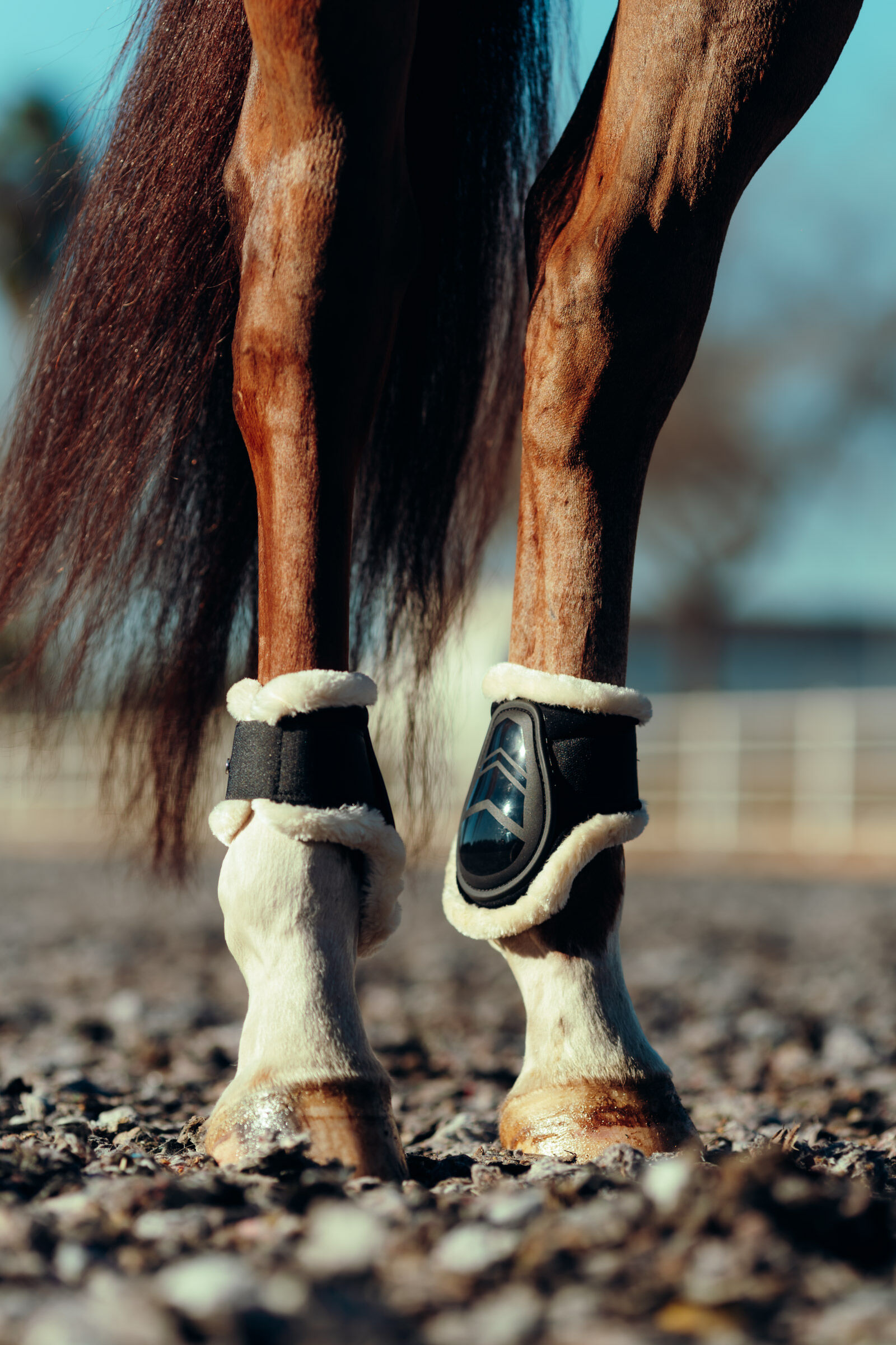 Horze fetlock new arrivals boots