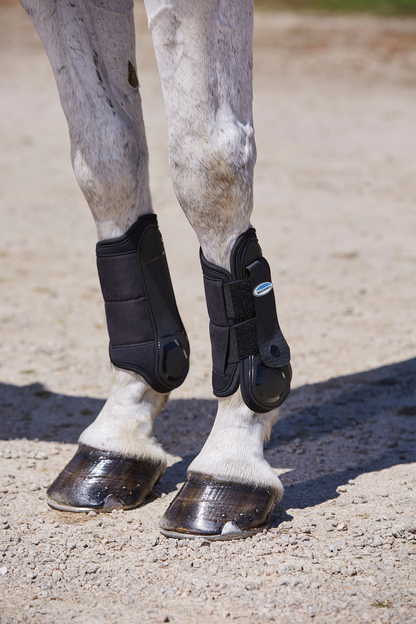 Weatherbeeta boots online