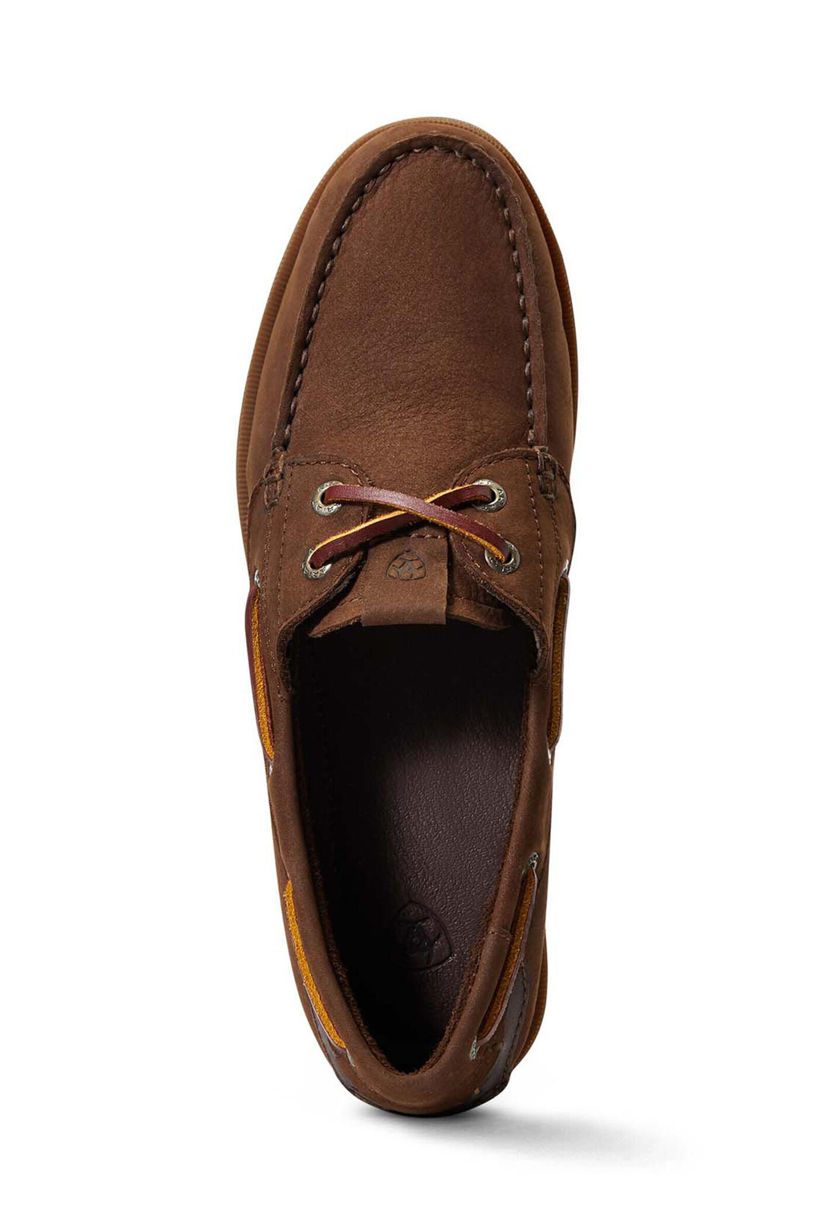 Buy Ariat Antigua Shoes horze.eu