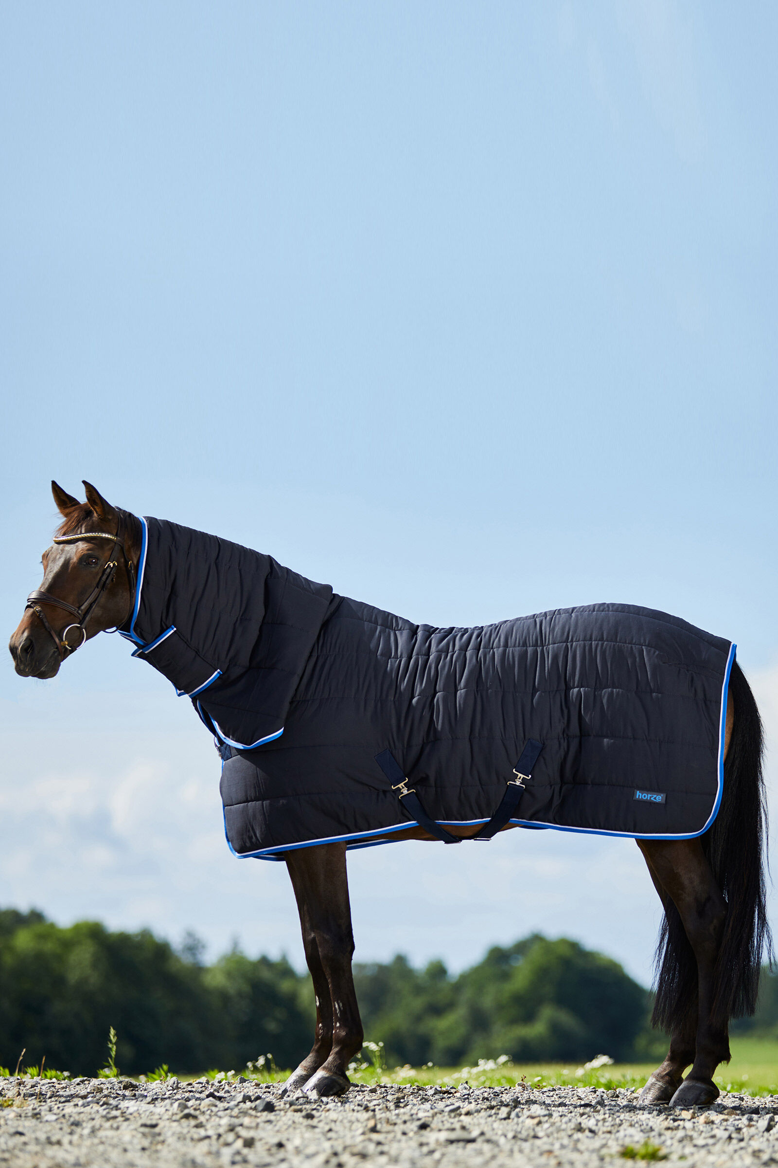 Stable rugs hot sale