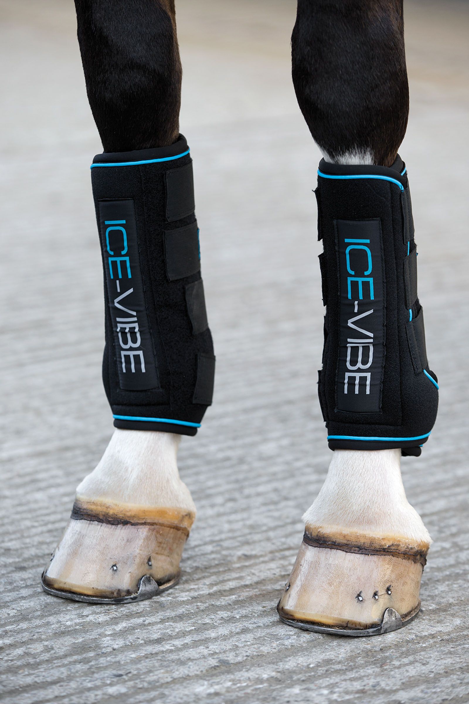 Horze ice boots 2025