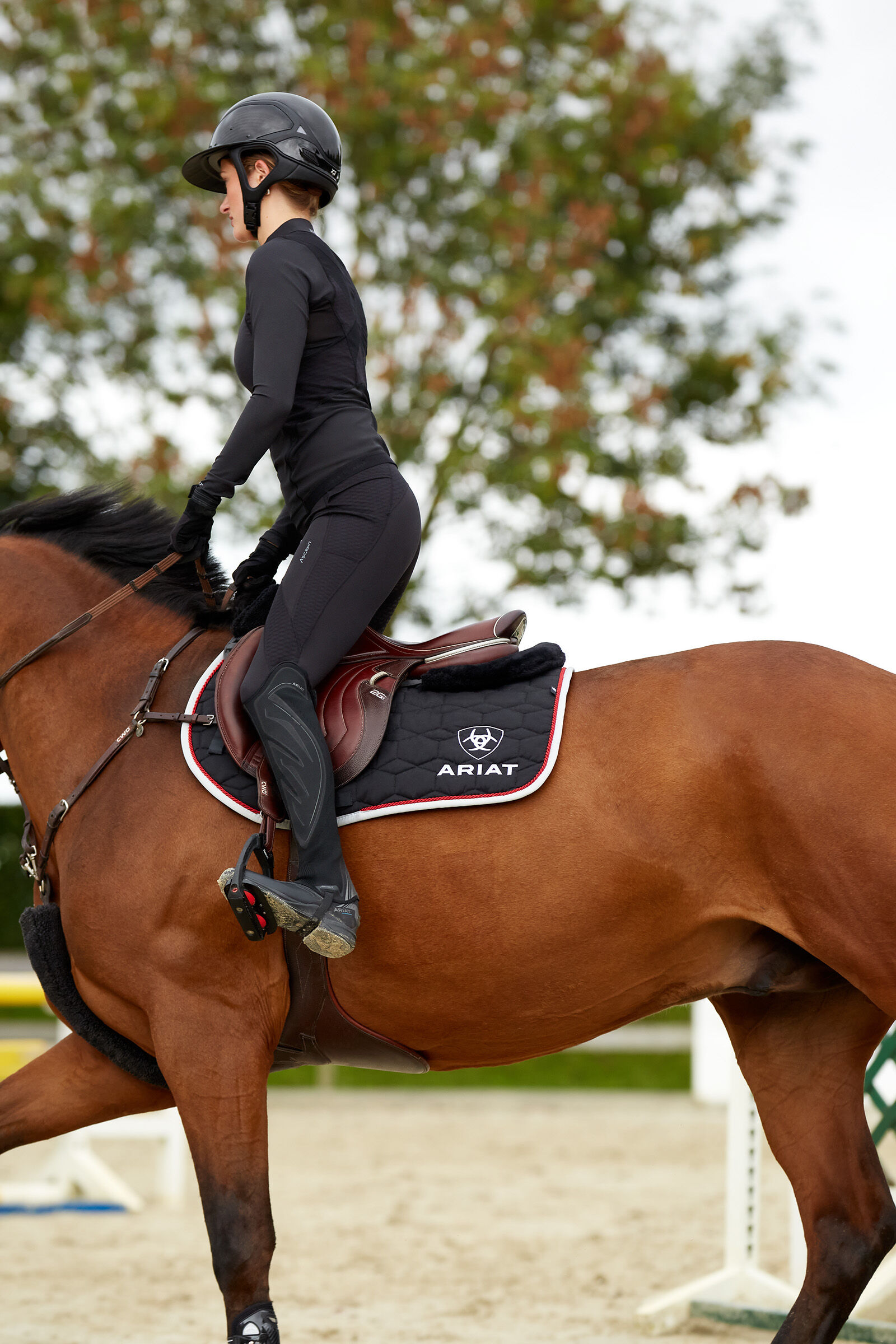Ariat equestrian store
