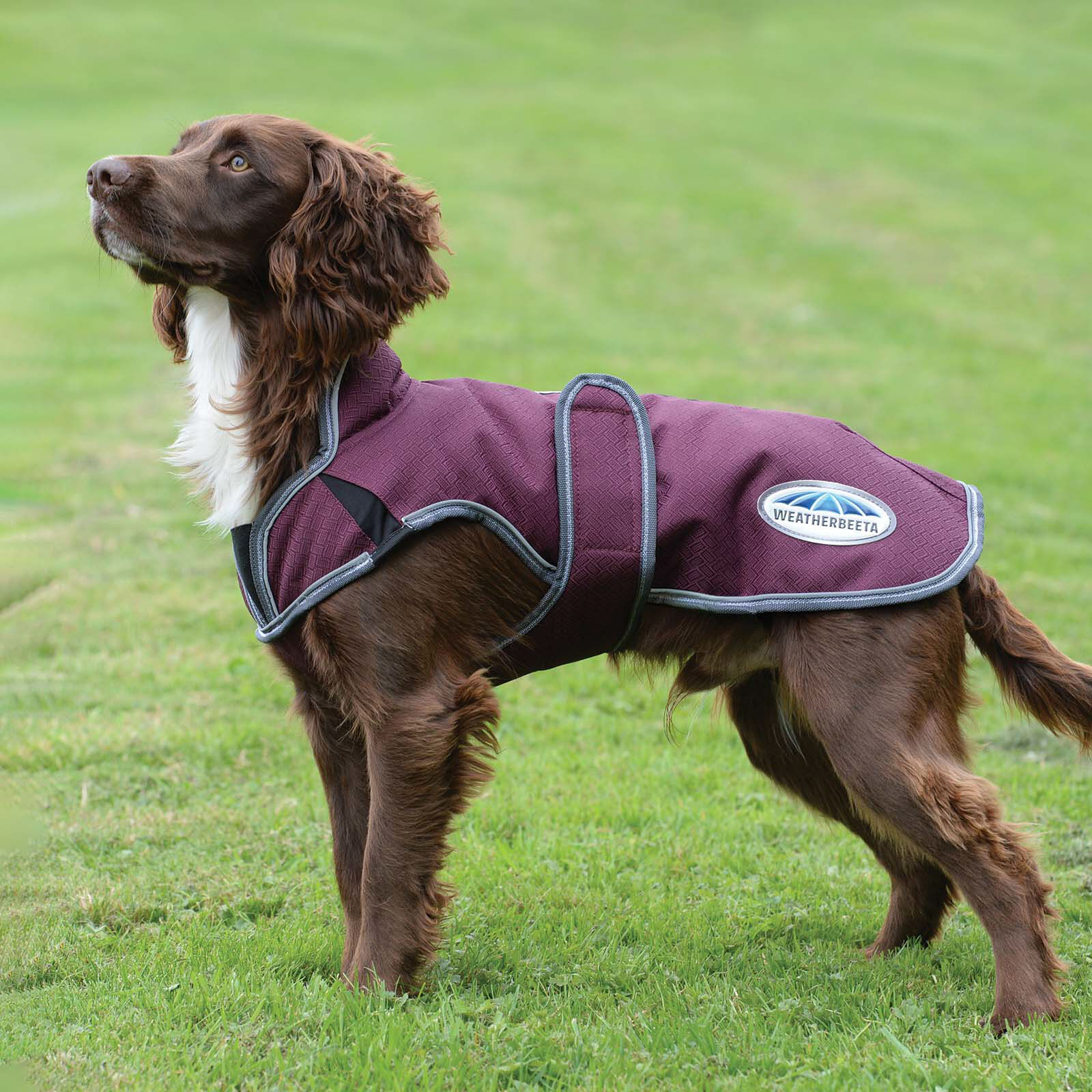 Weatherbeeta parka deals