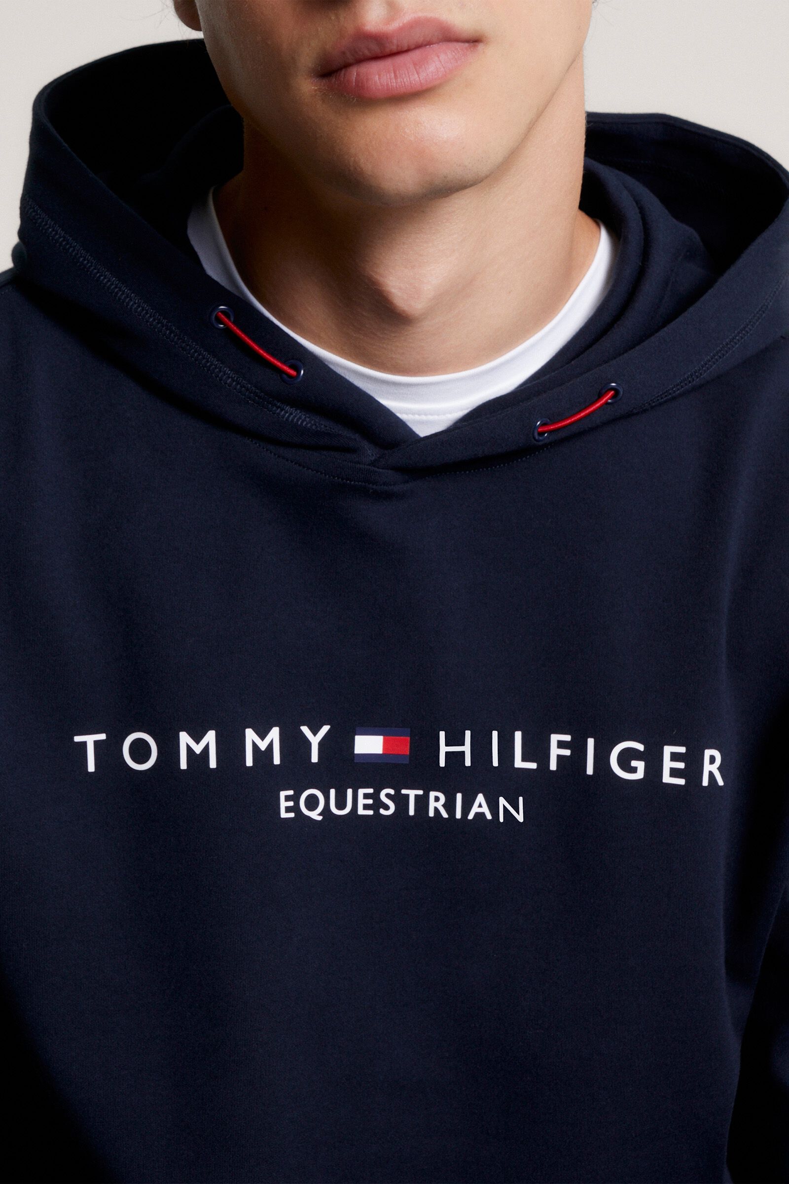 Tommy hilfiger sale graphic hoodie