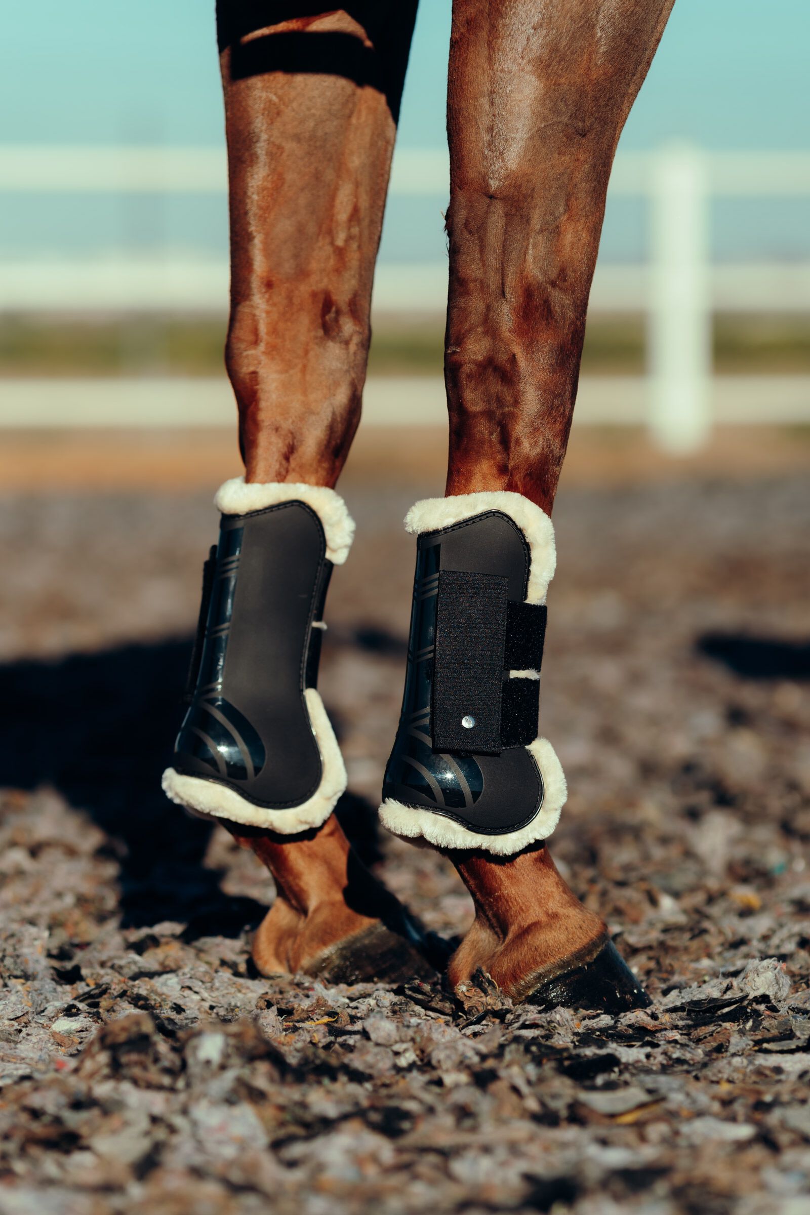 Fleece lined tendon boots discount