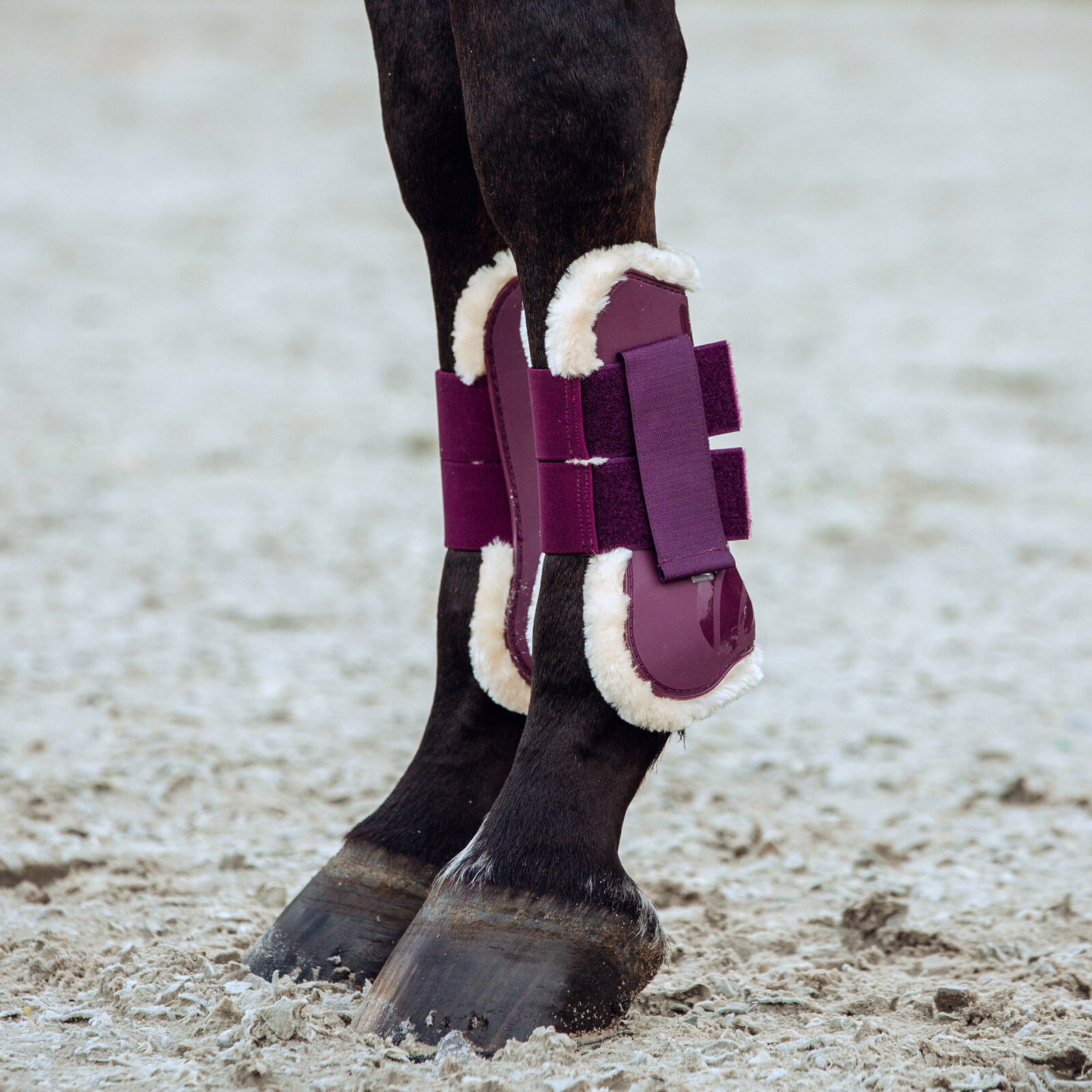 Horze best sale tendon boots