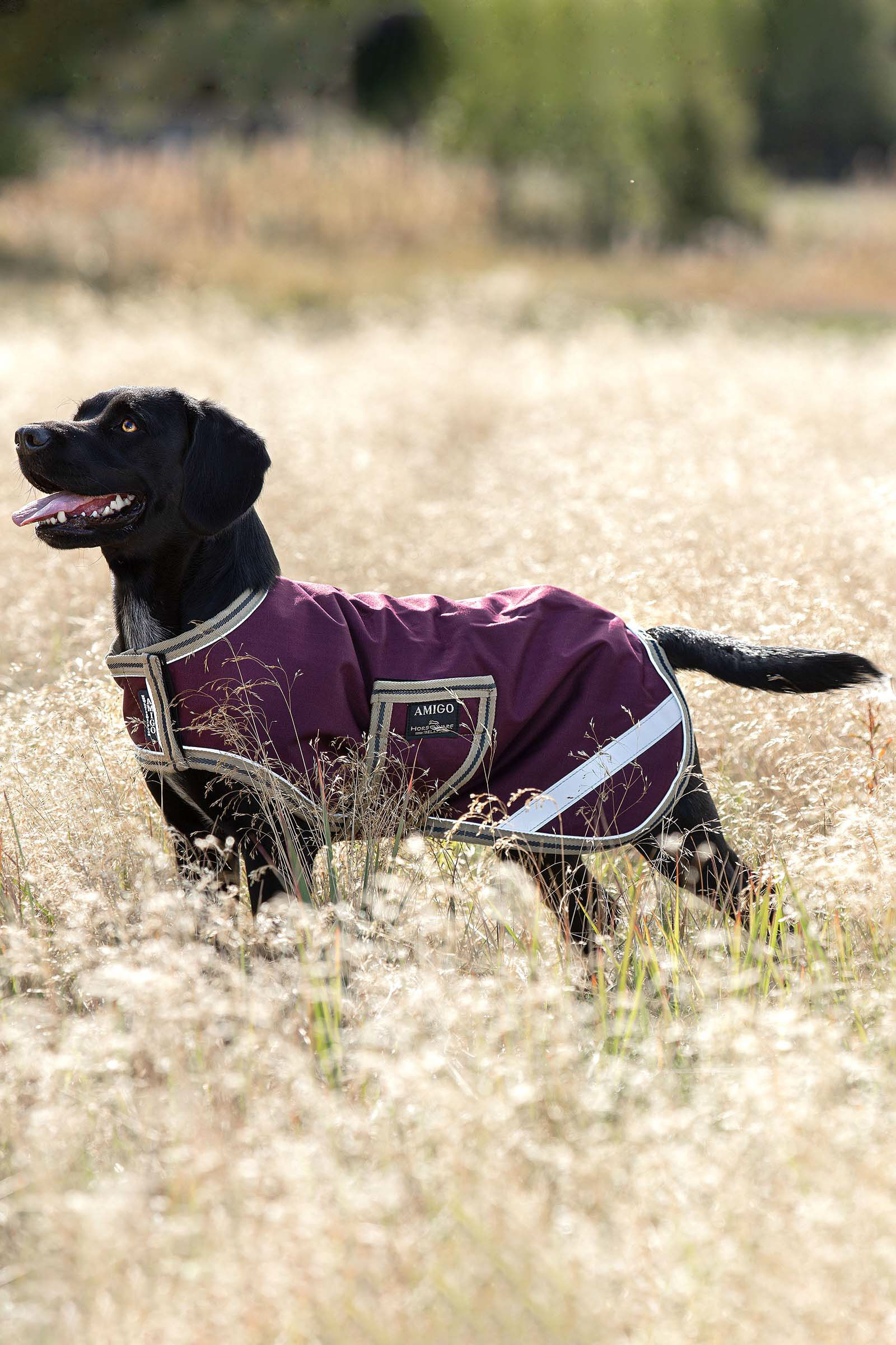 Horseware coats store