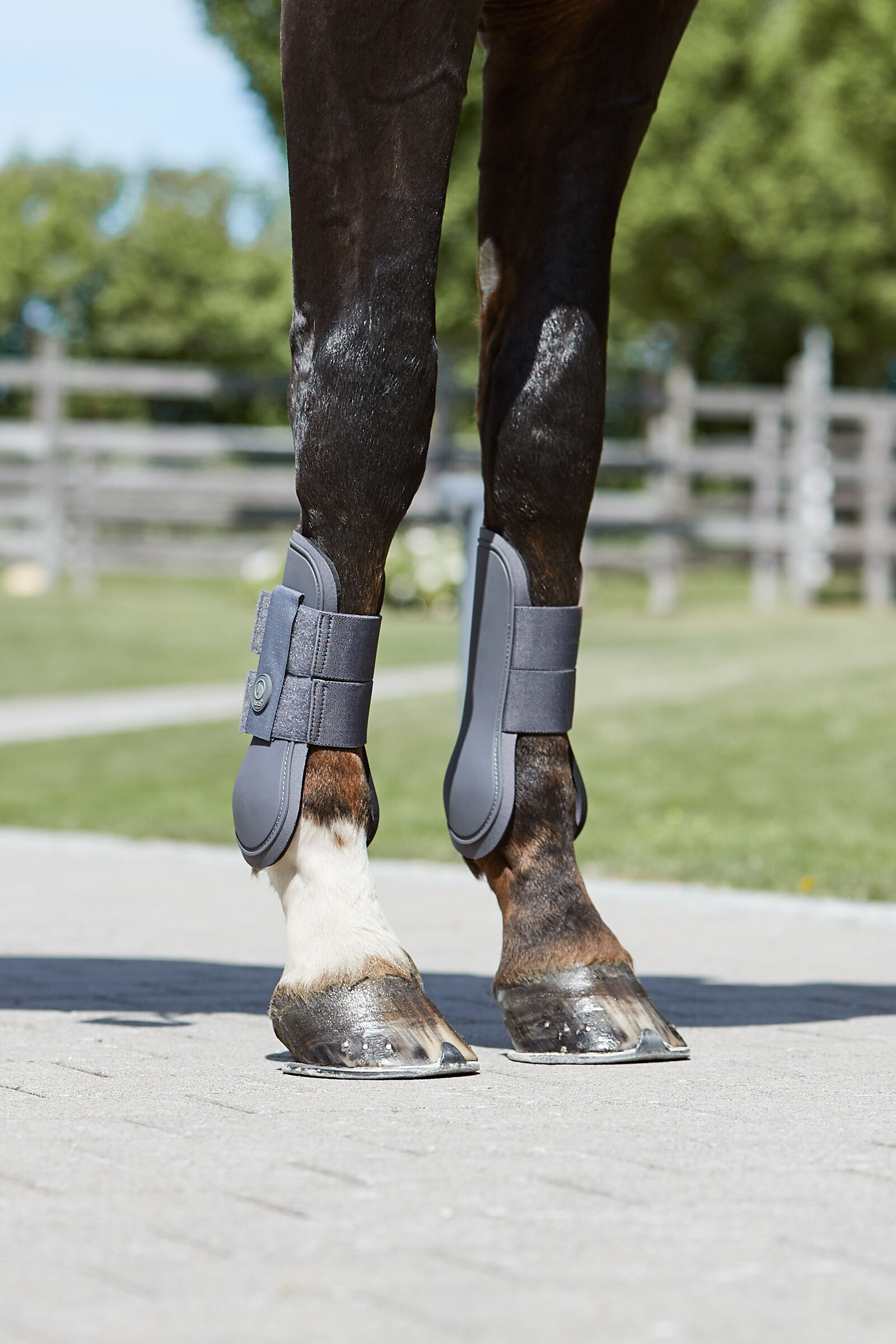 Buy Horze Chicago Tendon Boots horze.eu